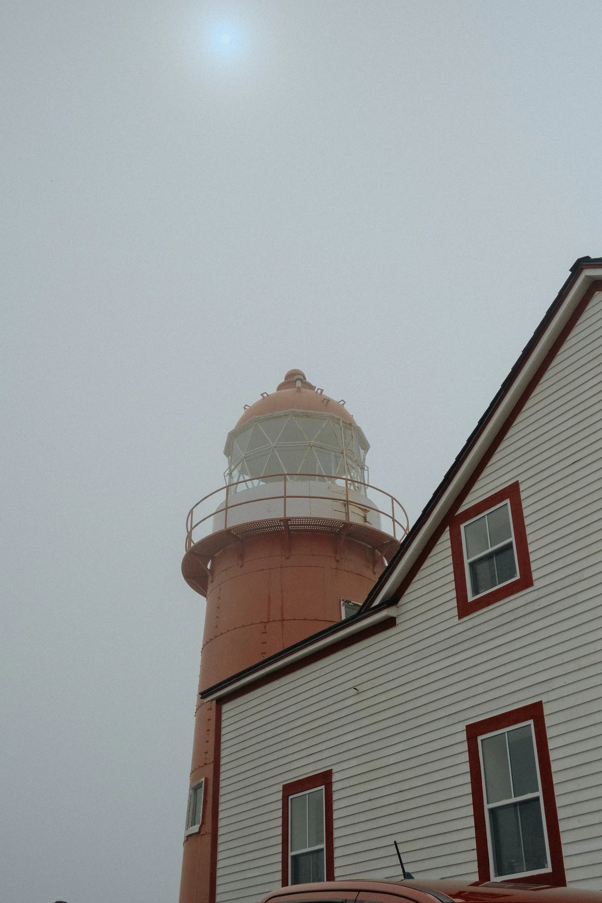 DSCF5441.jpg