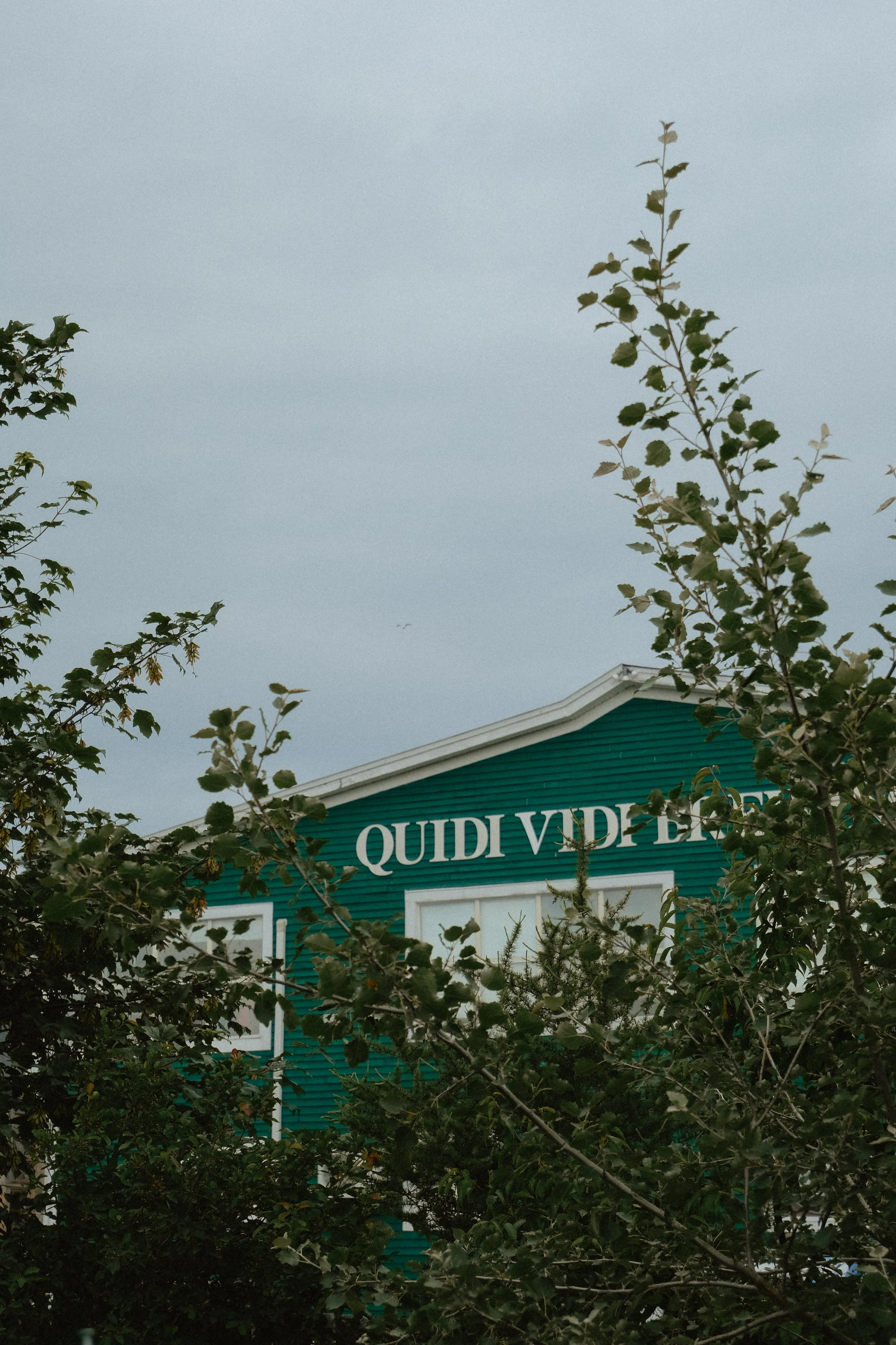 DSCF3706.jpg