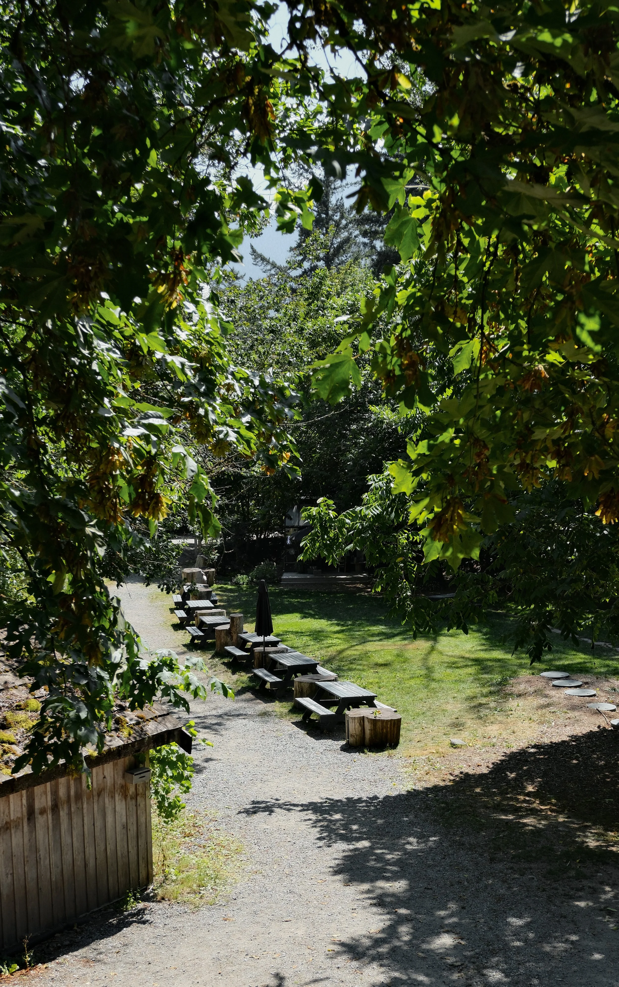 DSCF1911.jpg