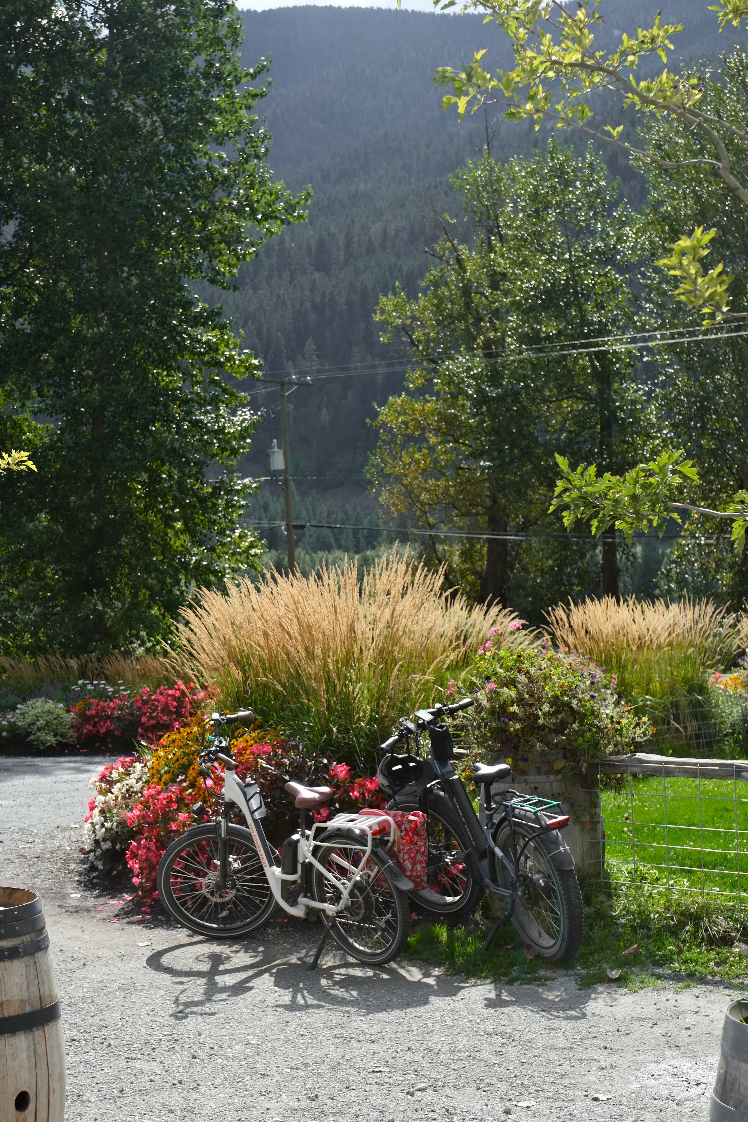 pemberton-60.jpg