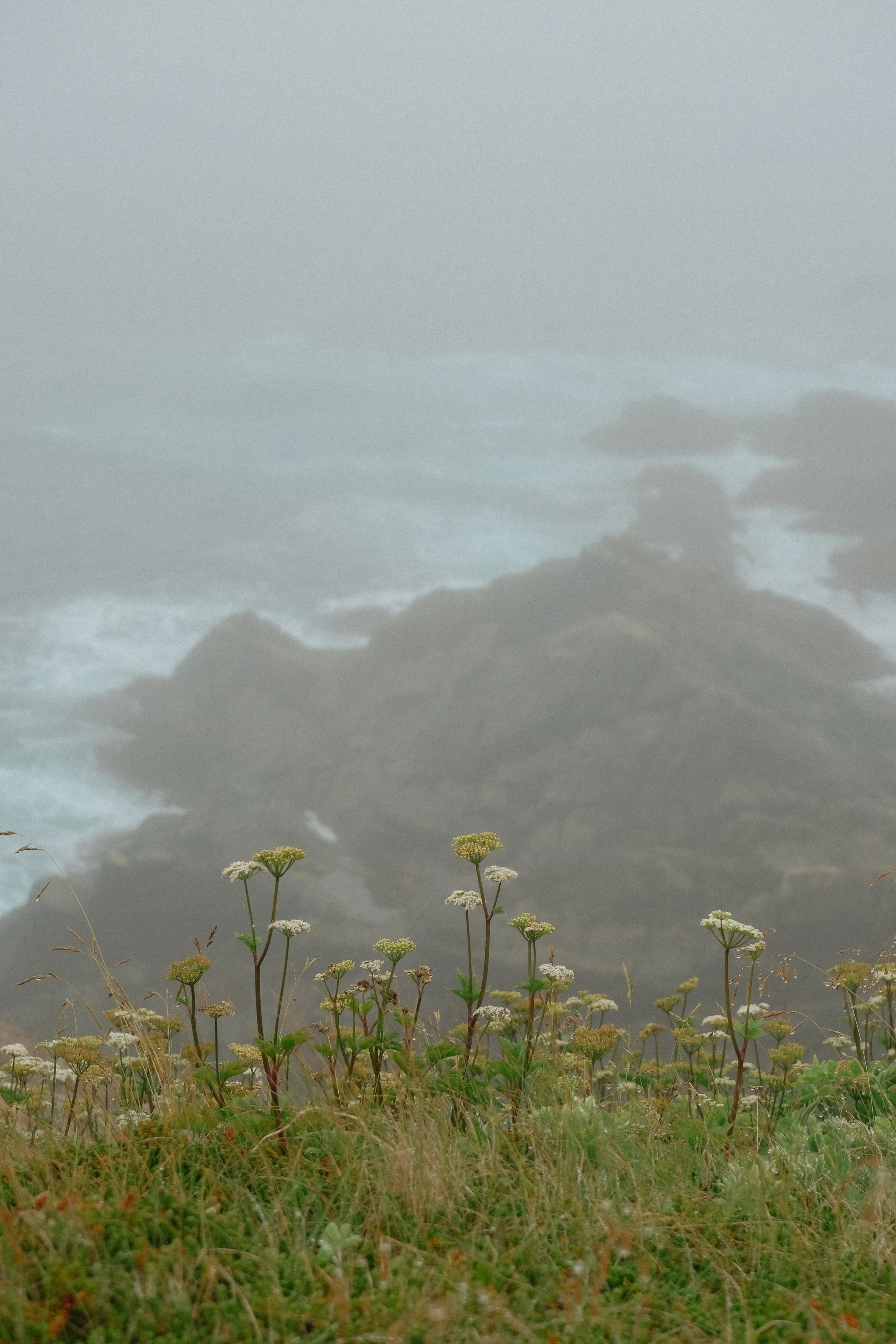 DSCF5424.jpg
