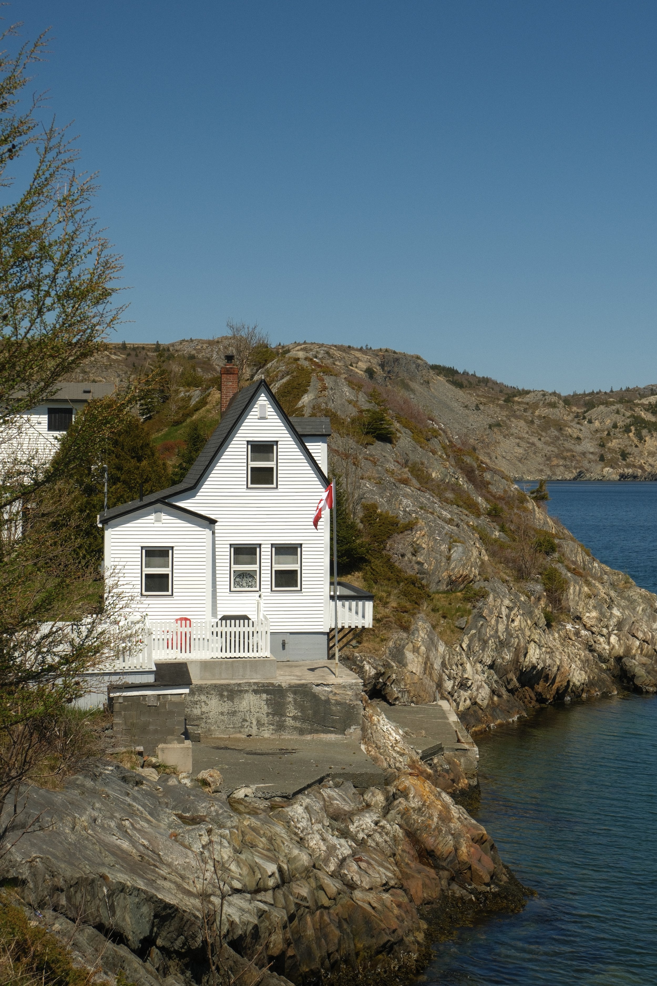 brigus gallery