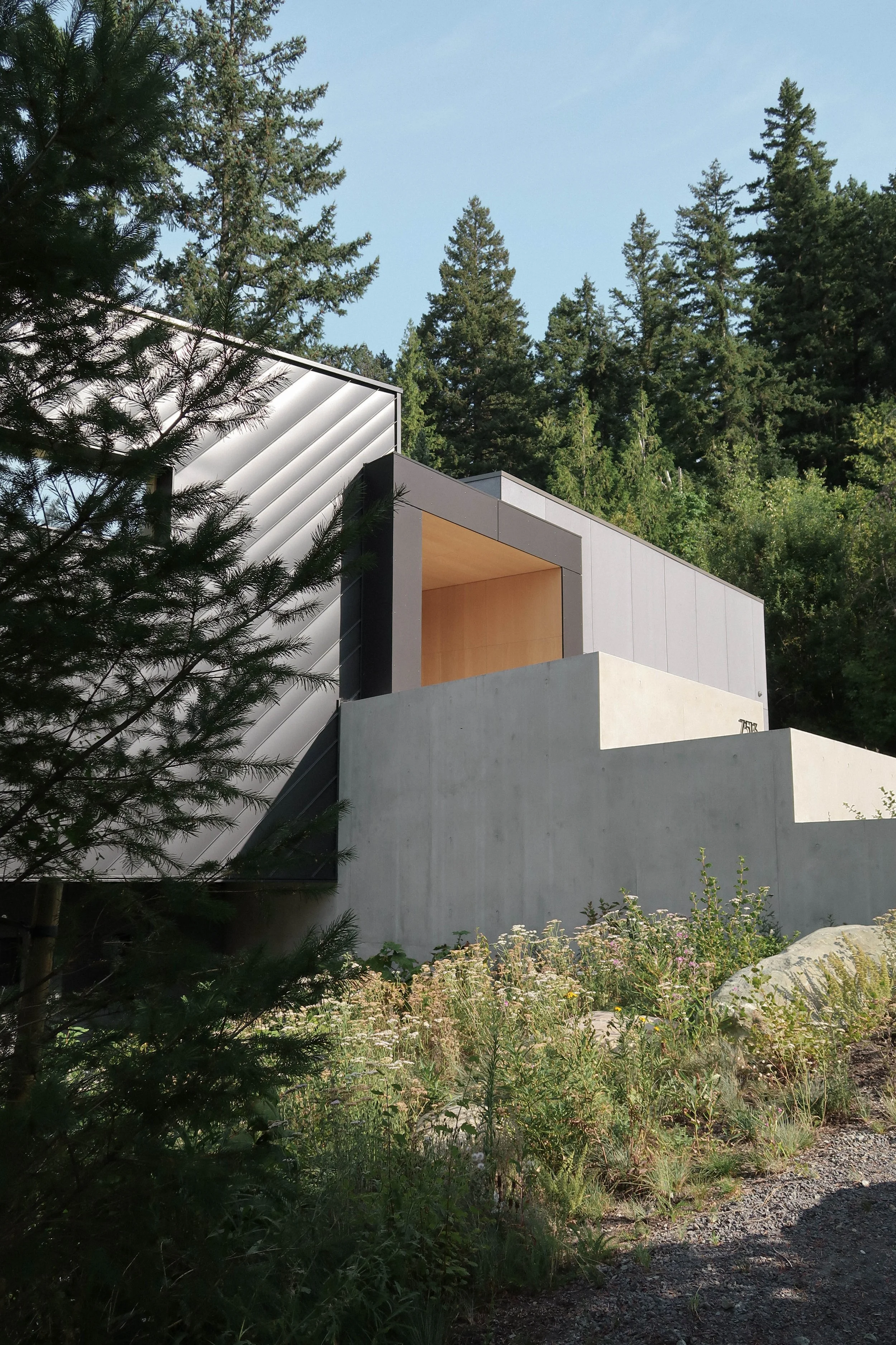 passive house forest retreat