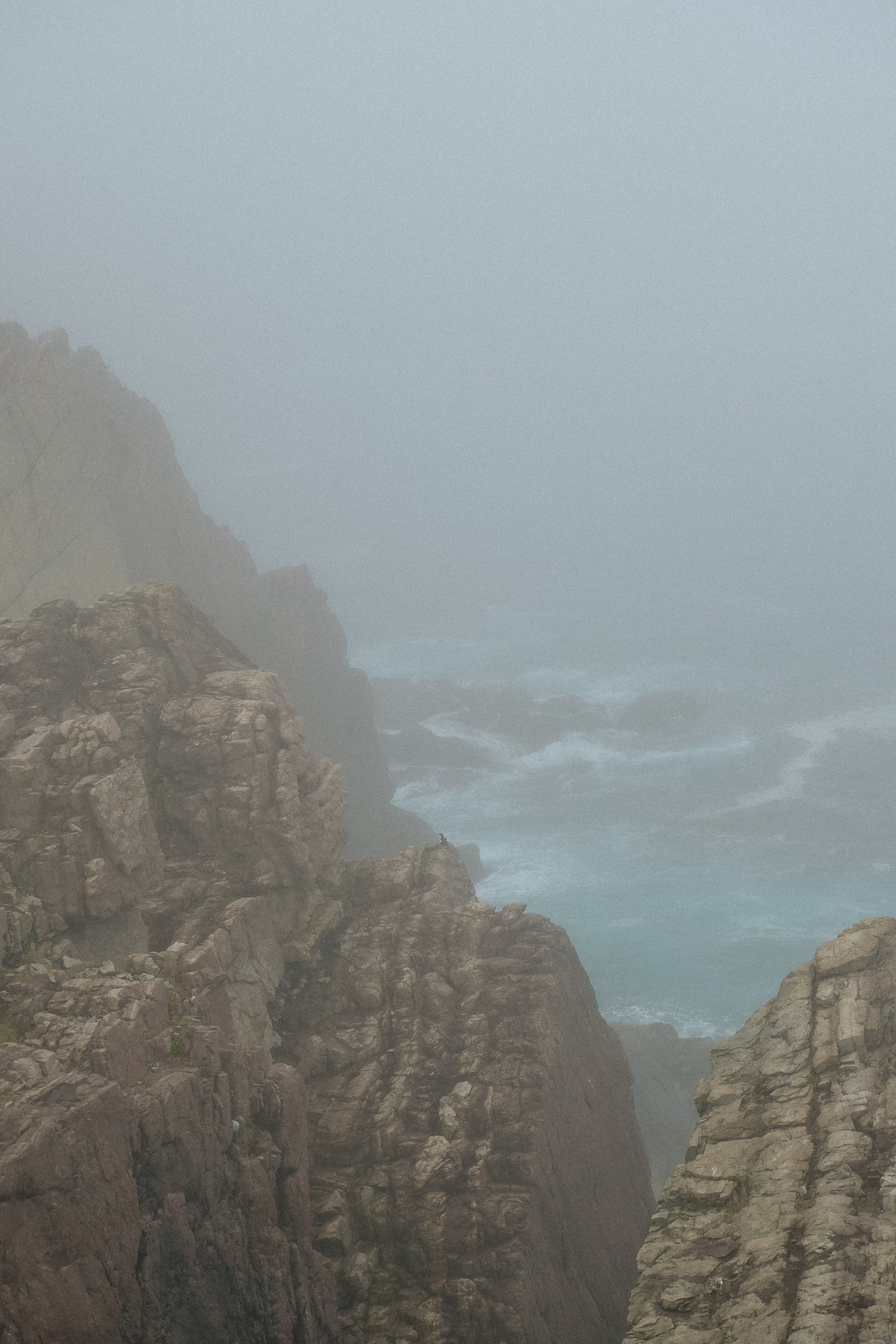DSCF5435.jpg