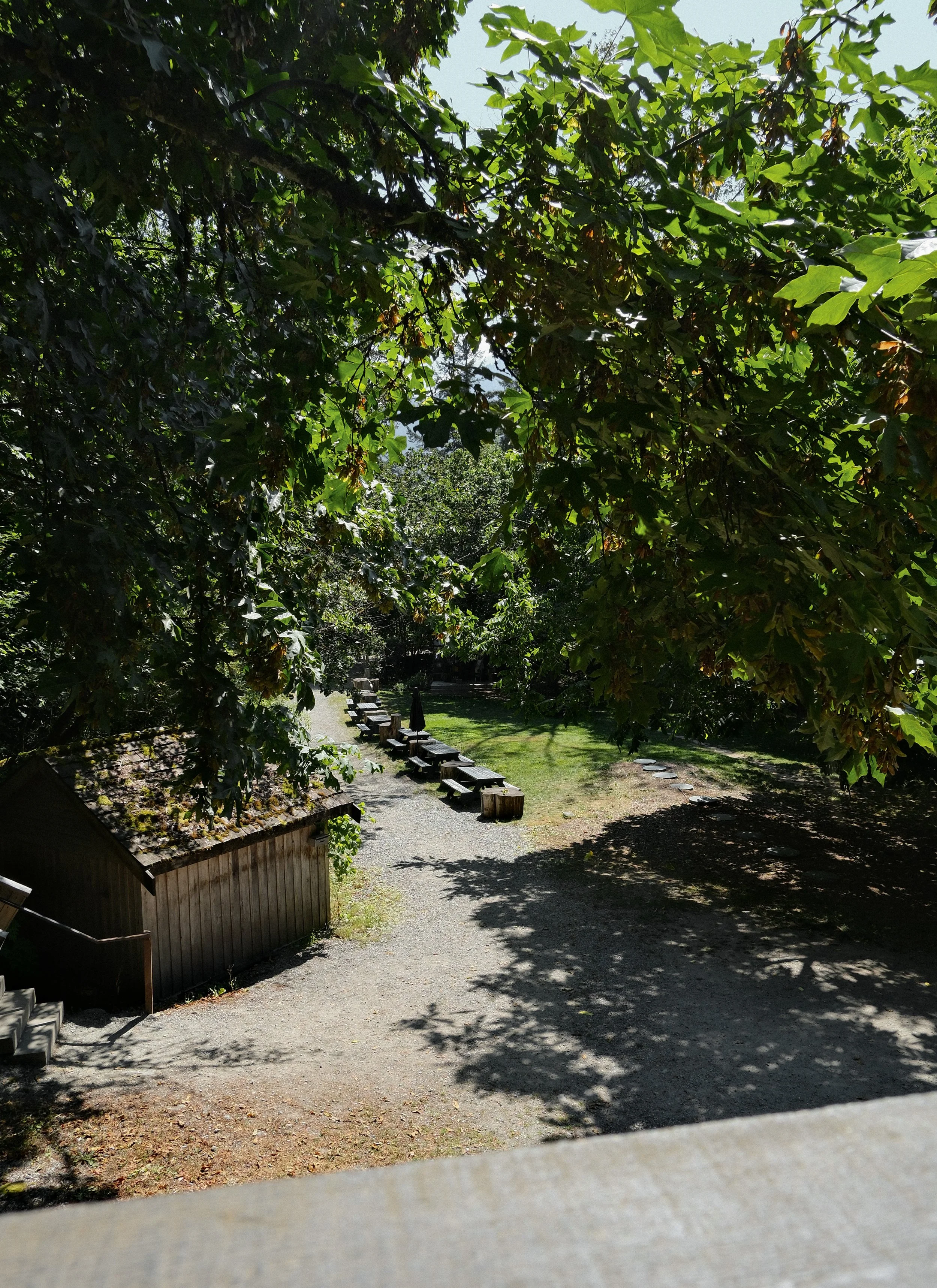 DSCF1910.jpg