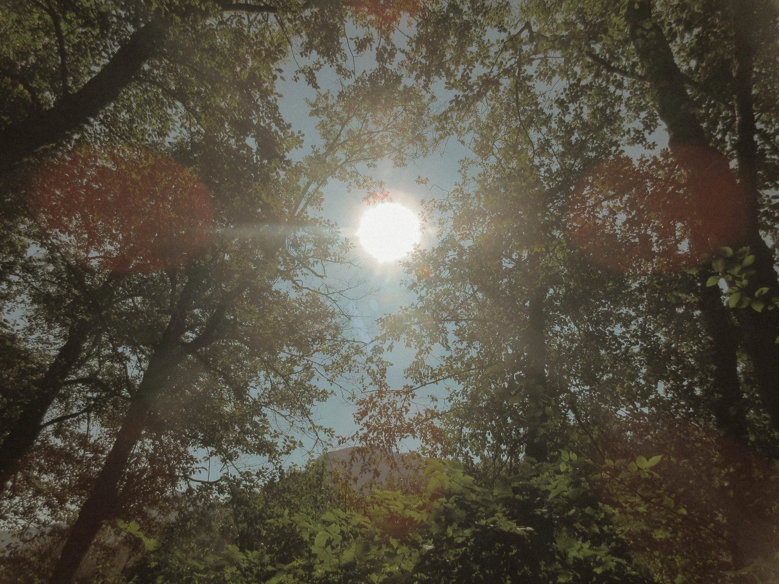 edited_2026-21.jpg