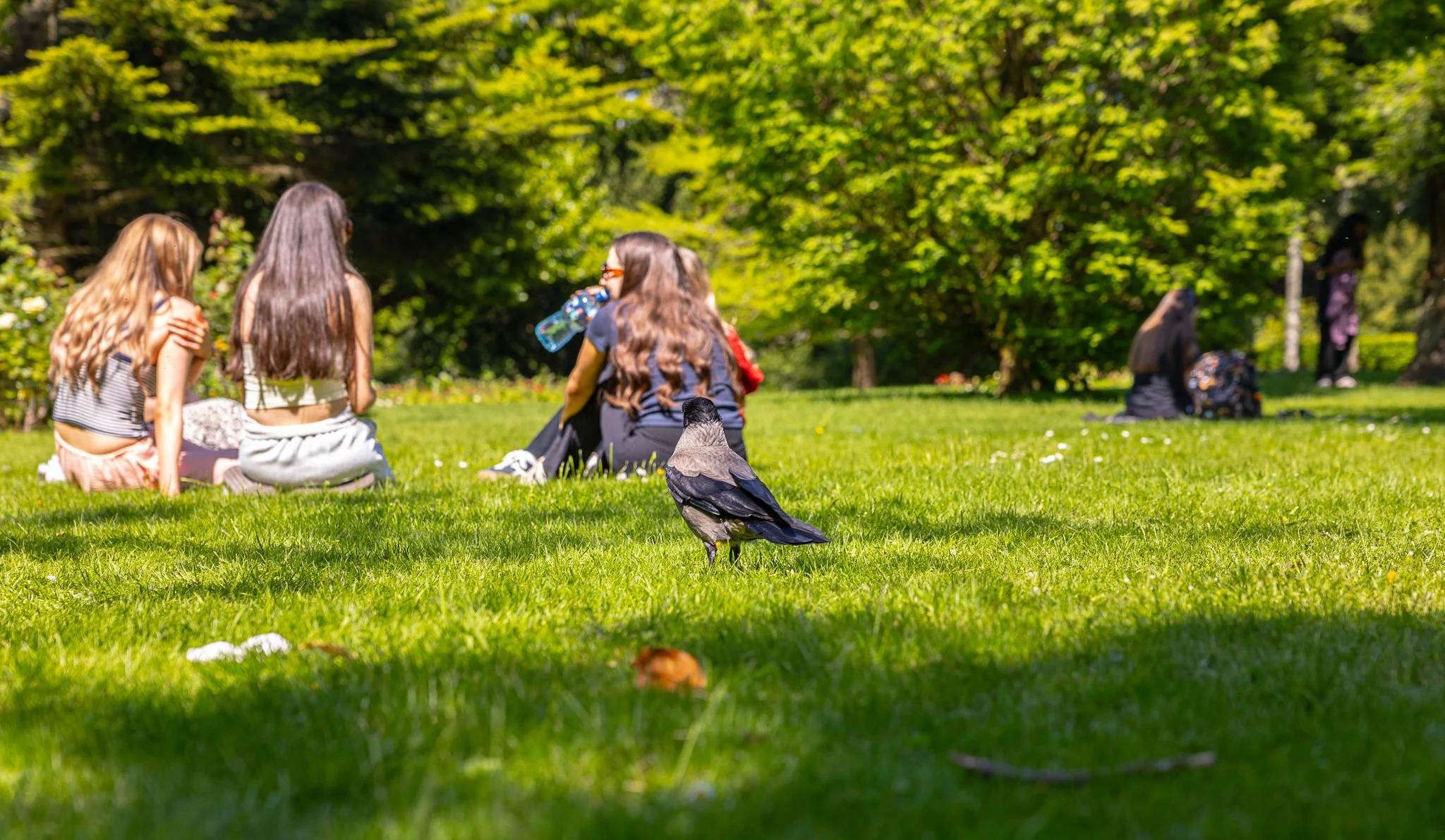 Campus Life, 2026