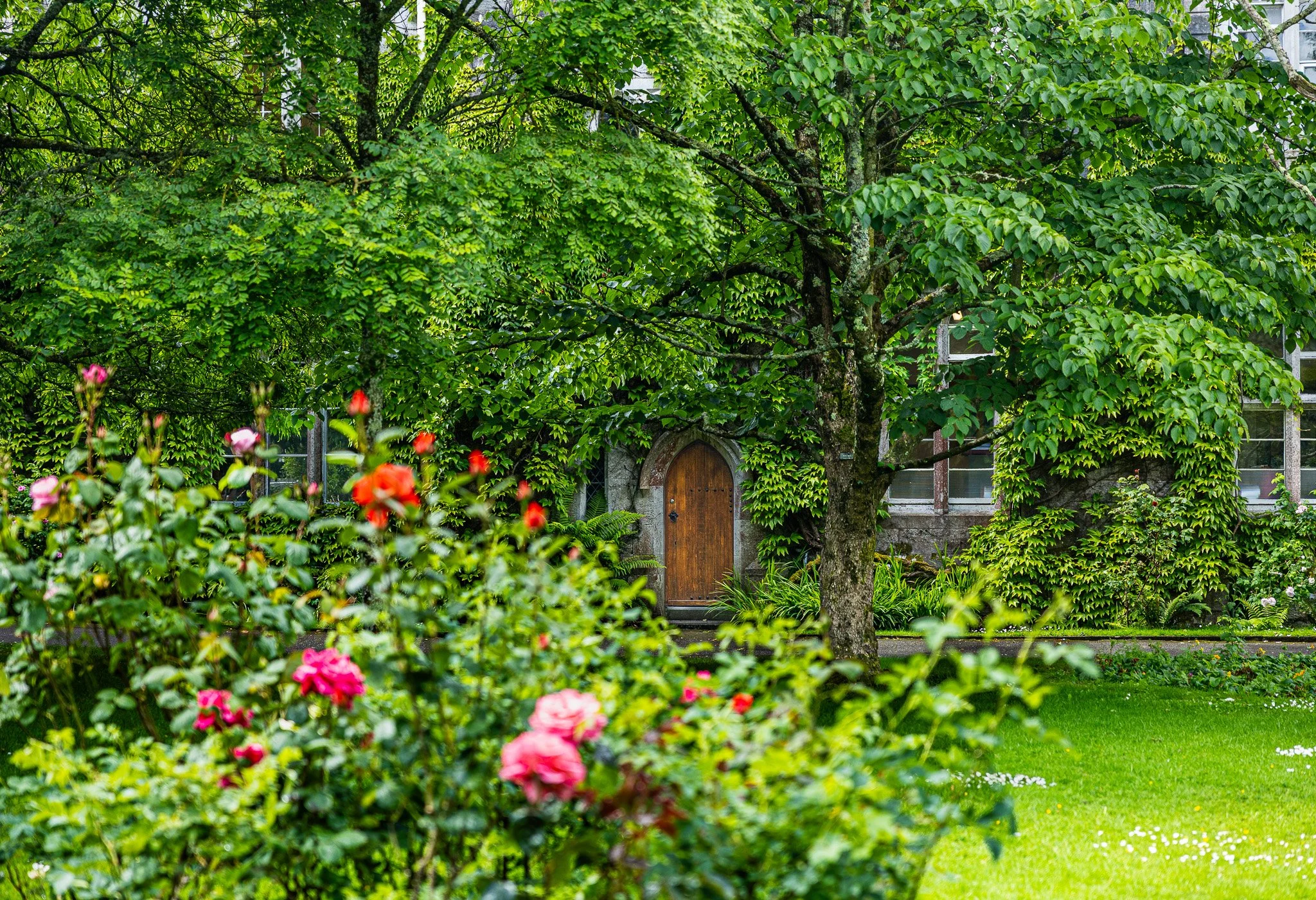 President's Garden, 2026