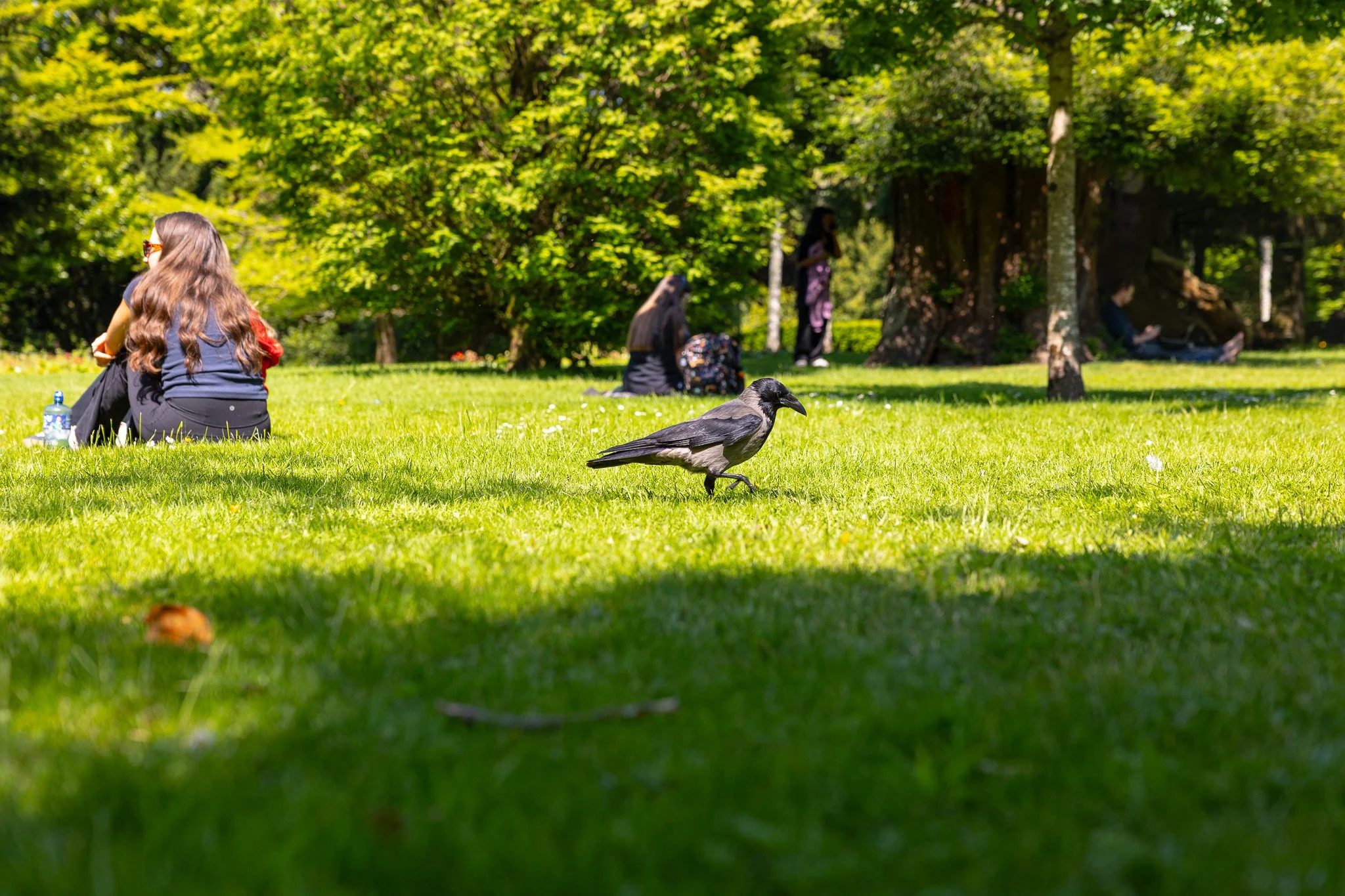 Campus Life, 2026