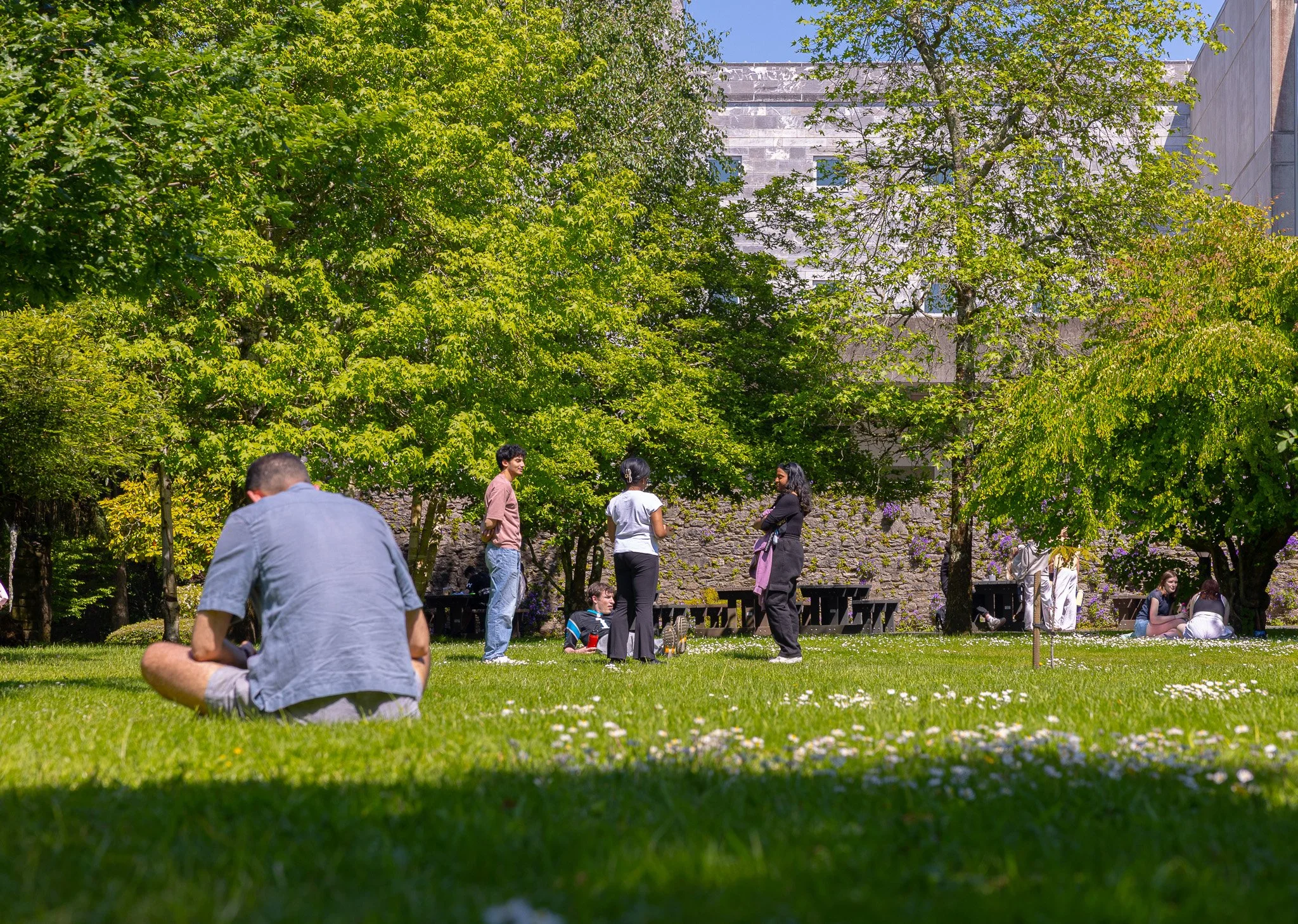 Scenic Photography - Campus Life, 2026