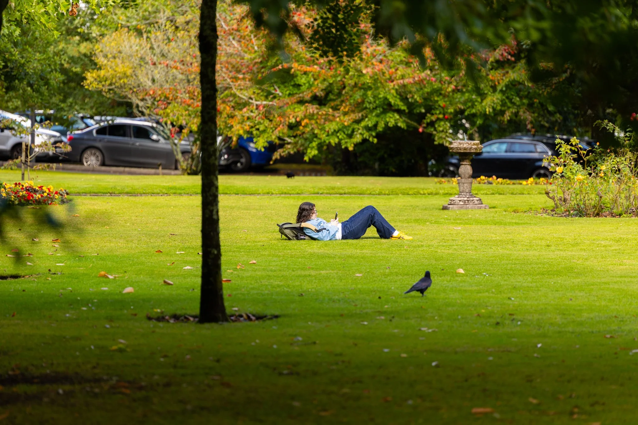 Scenic Photography - Campus Life, 2026