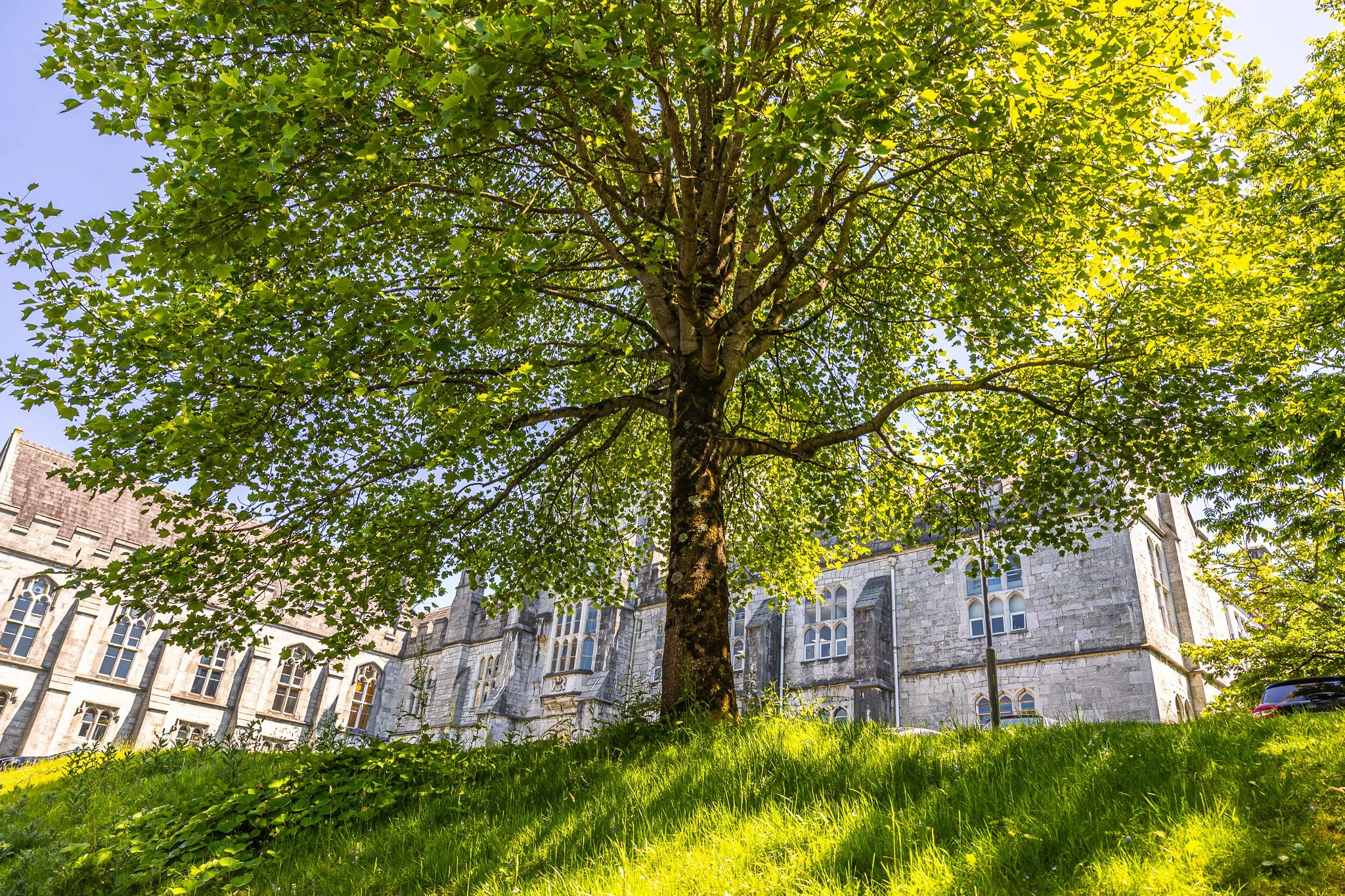 Scenic Photography - Lower Grounds, May 2026