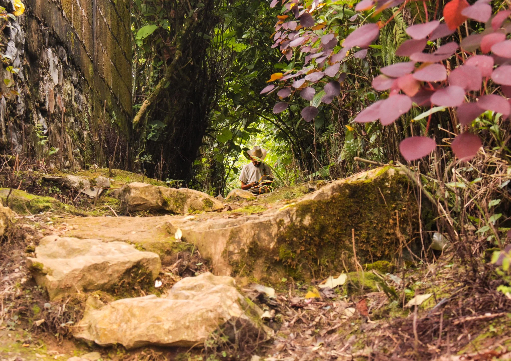 Editorial Photography –  Group Tonatzin, Cuetzalan, 2014