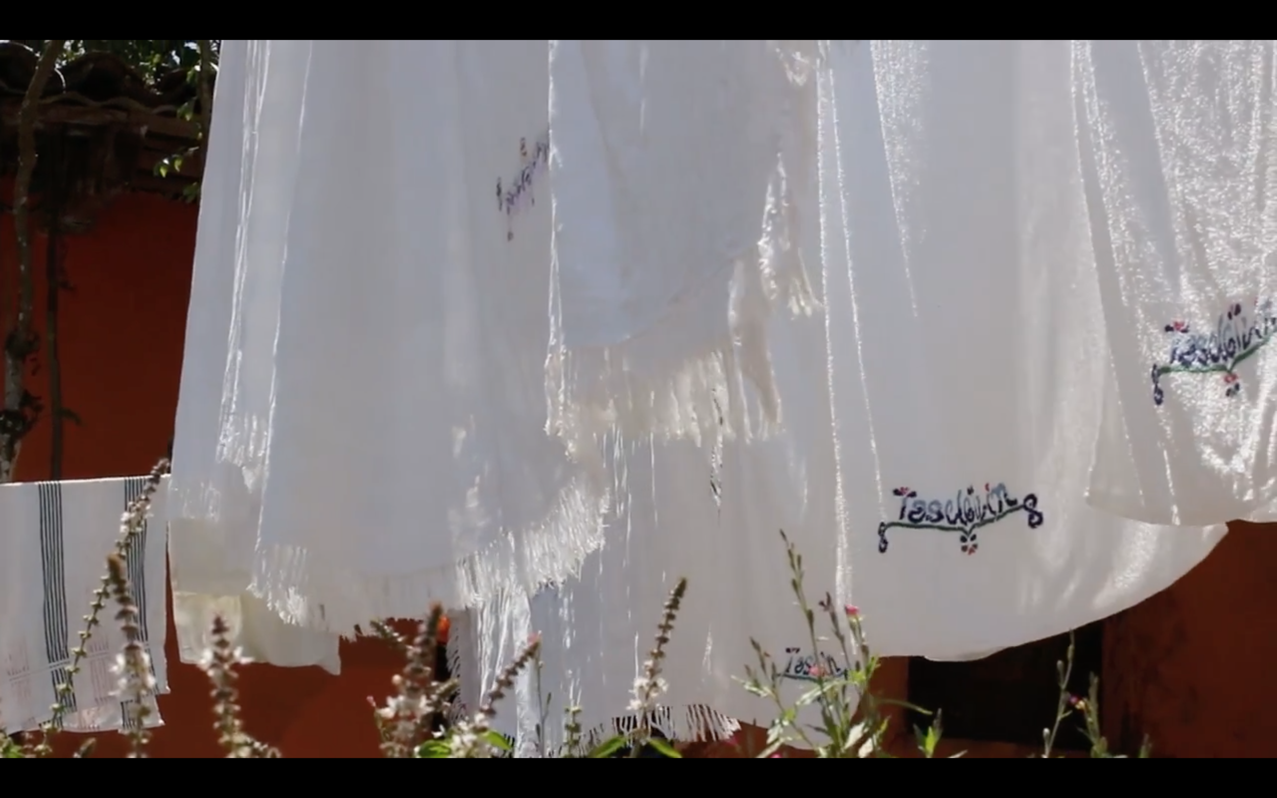 Still from my work as a Cinematographer from documentary "La Ruta del Malacate" 2016