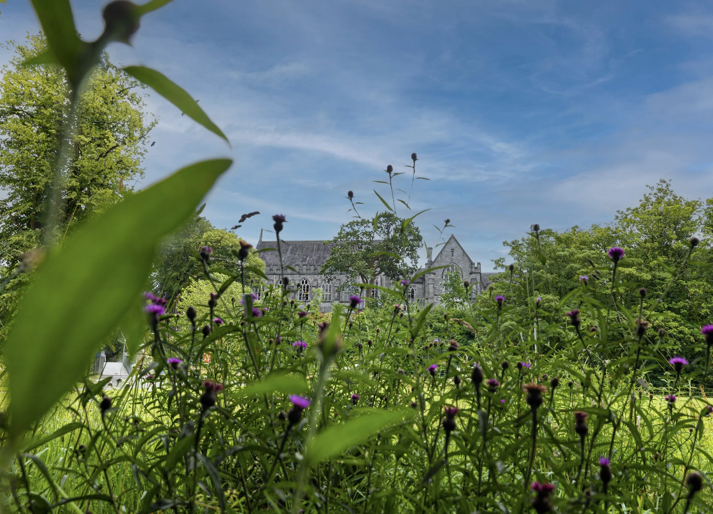 Architectural photography - Lower Grounds, 2026
