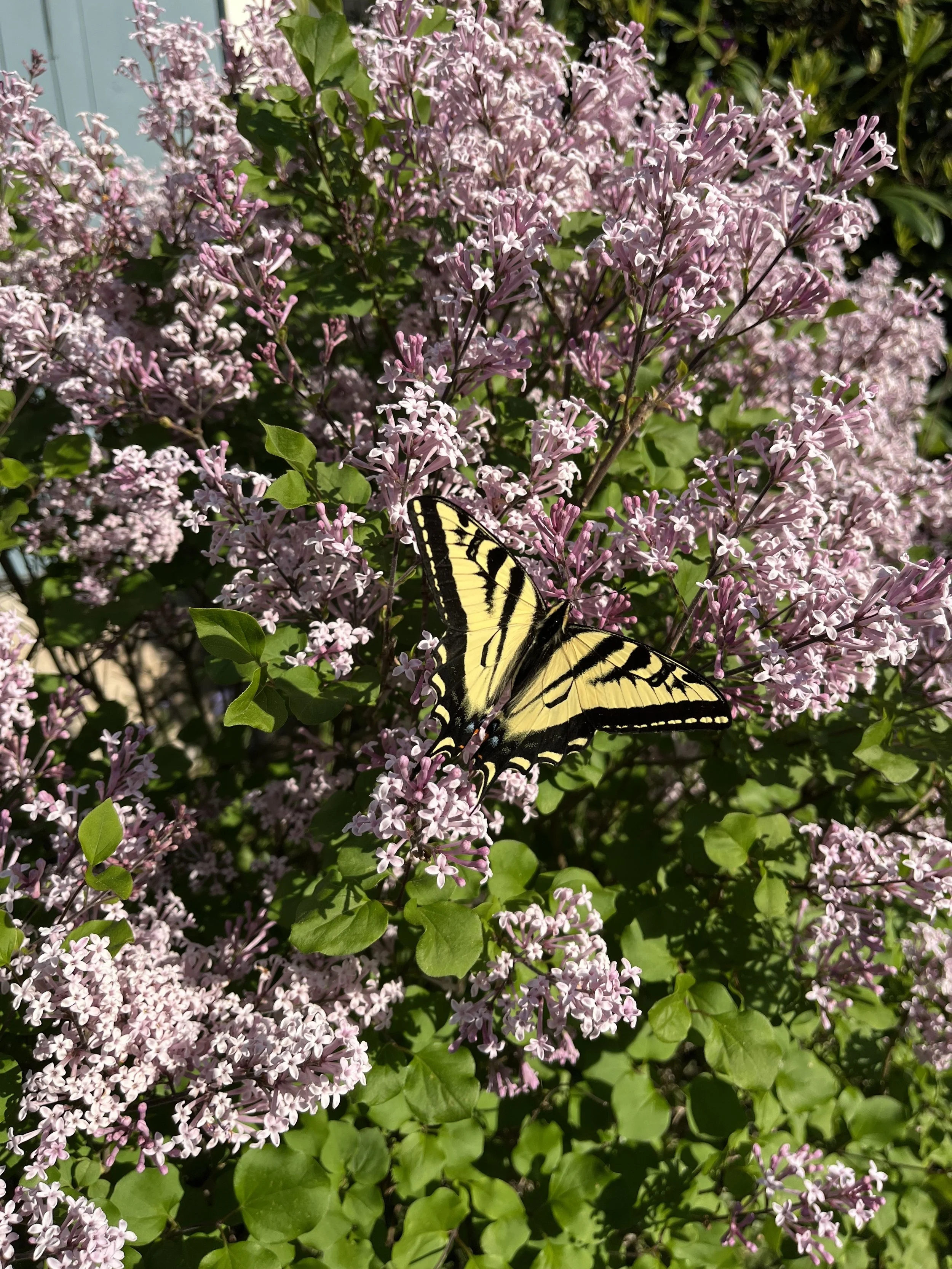 Defeated to Confident: Transform the Way You Date