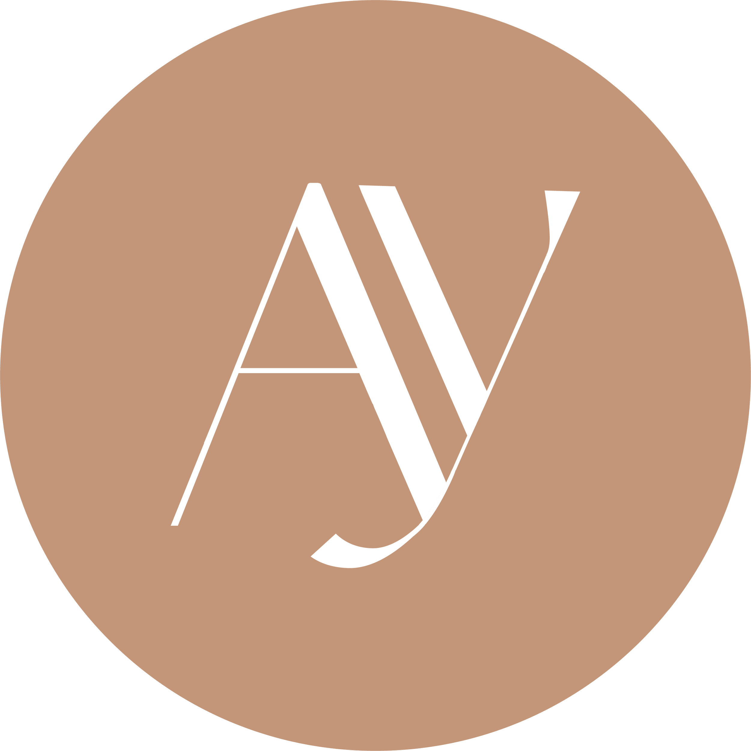 Logo of a stylized letter 'W' inside a brown circular background.