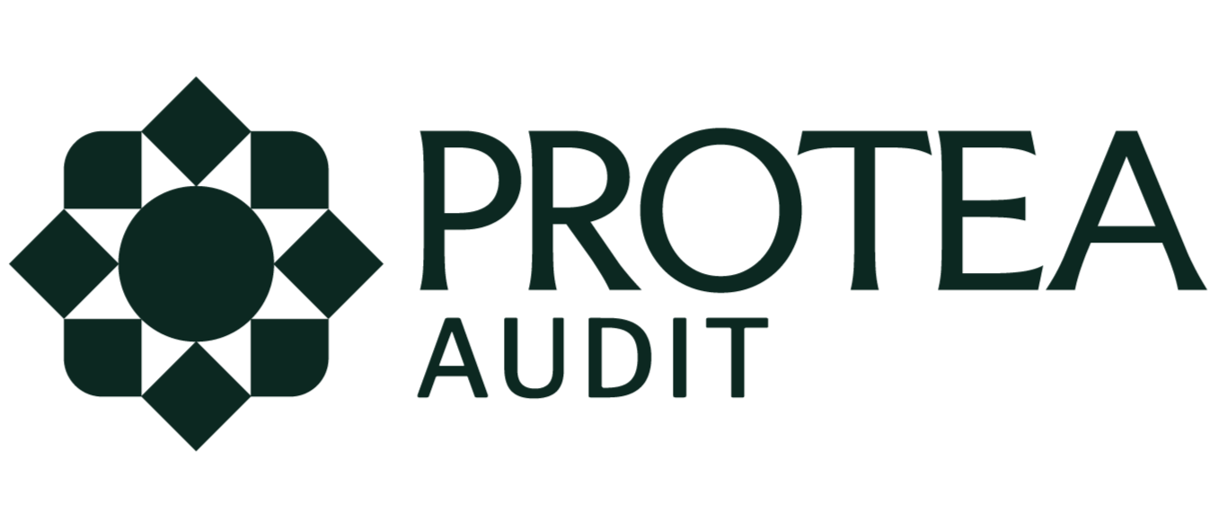 Protea Audit visual identity designed by Holiday Studio