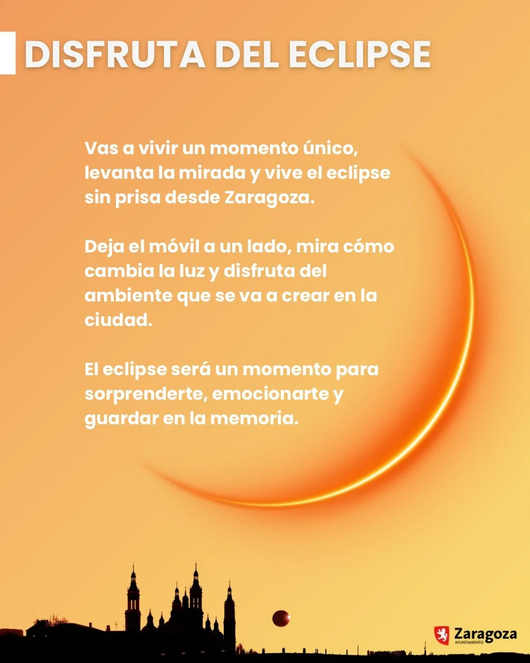 WhatsApp Image 2026-08-10 at 13.10.15 (4).jpeg