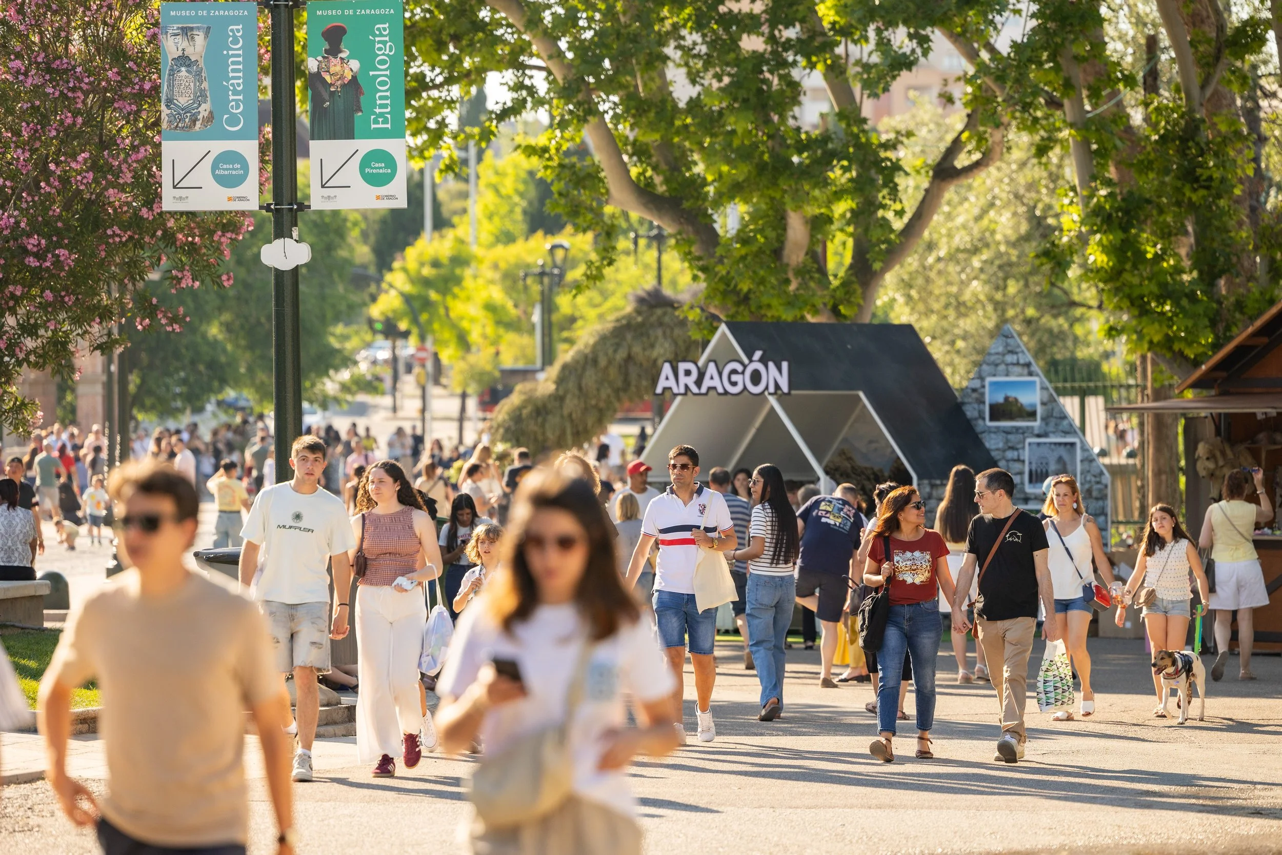 Personas caminando en una plaza en Zaragoza, Aragón, con árboles verdes, señalización turística y una estructura en forma de tienda o caseta. La escena es en un día soleado con muchos visitantes.