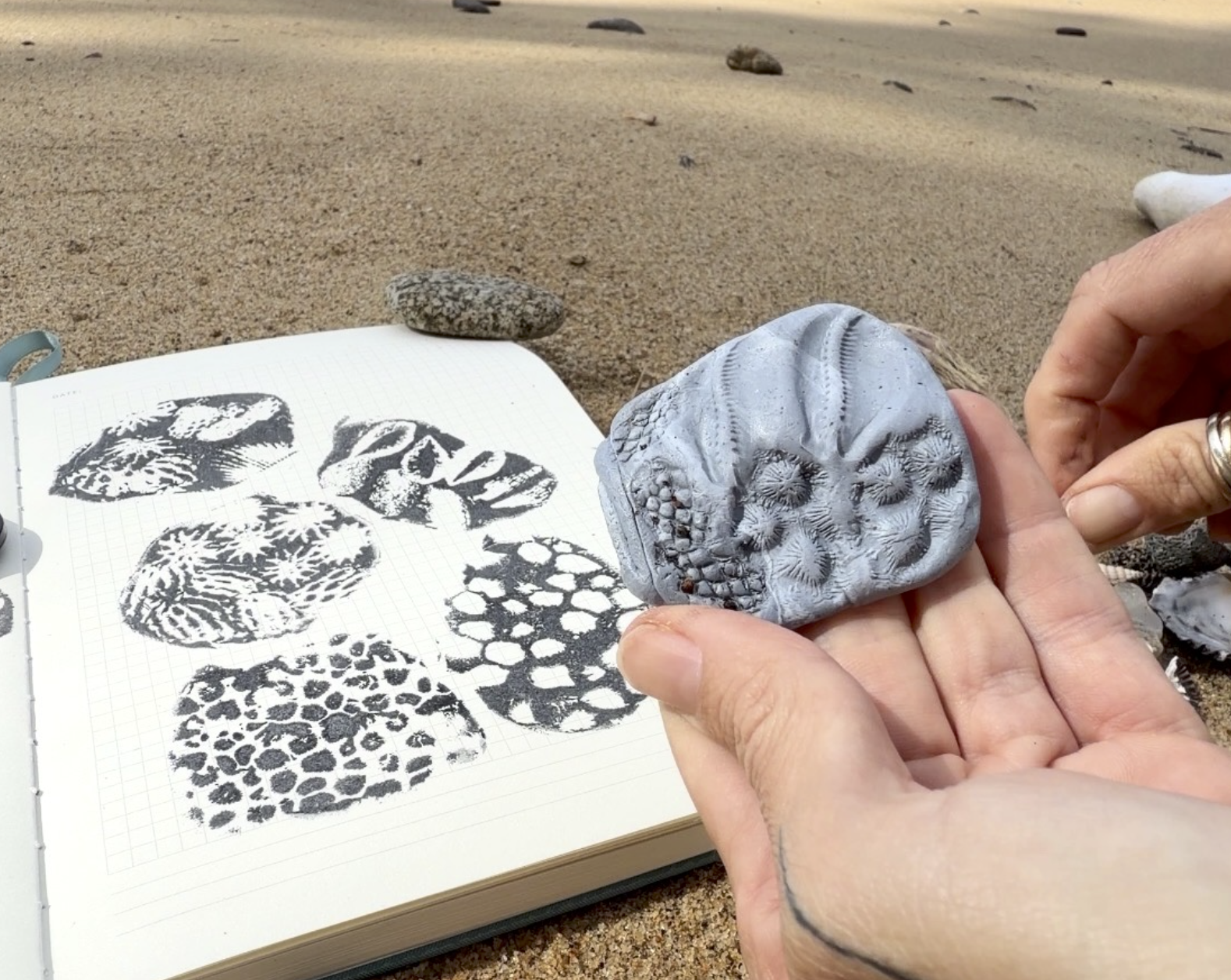 Shell Imprints with Blu Tack… Collecting the Uncollectible
