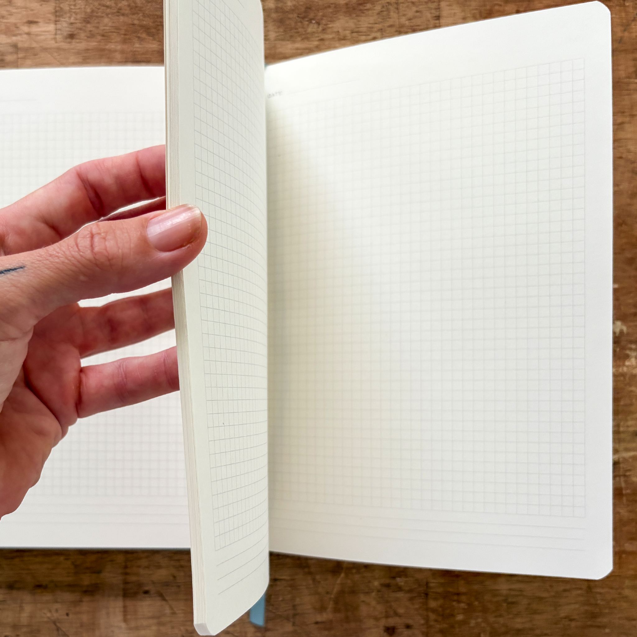 thelogbookcollection.56png.png