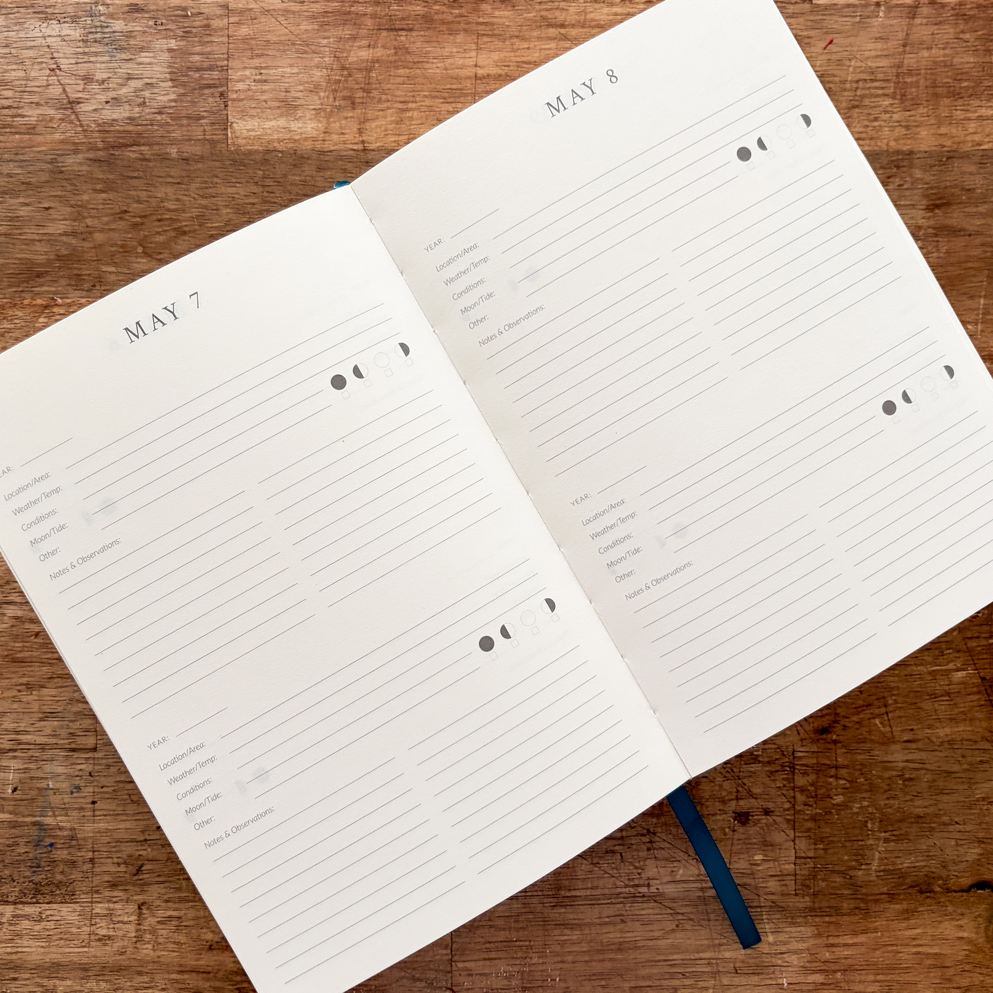 thelogbookcollection.45png.png