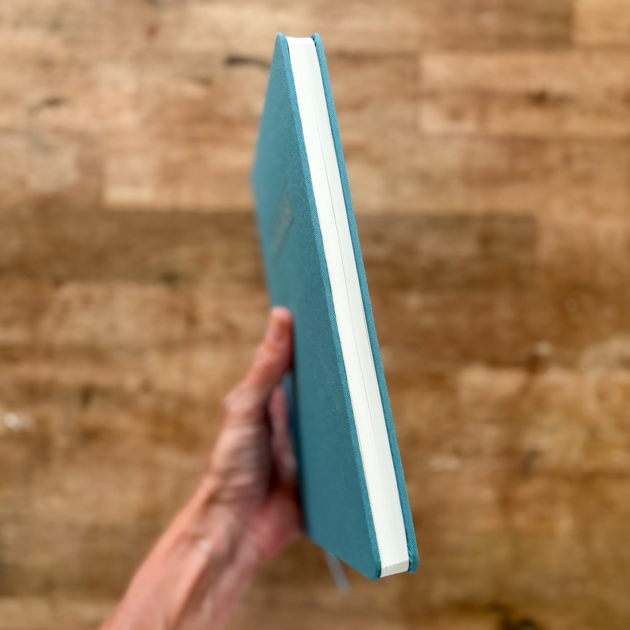 thelogbookcollection.3.png