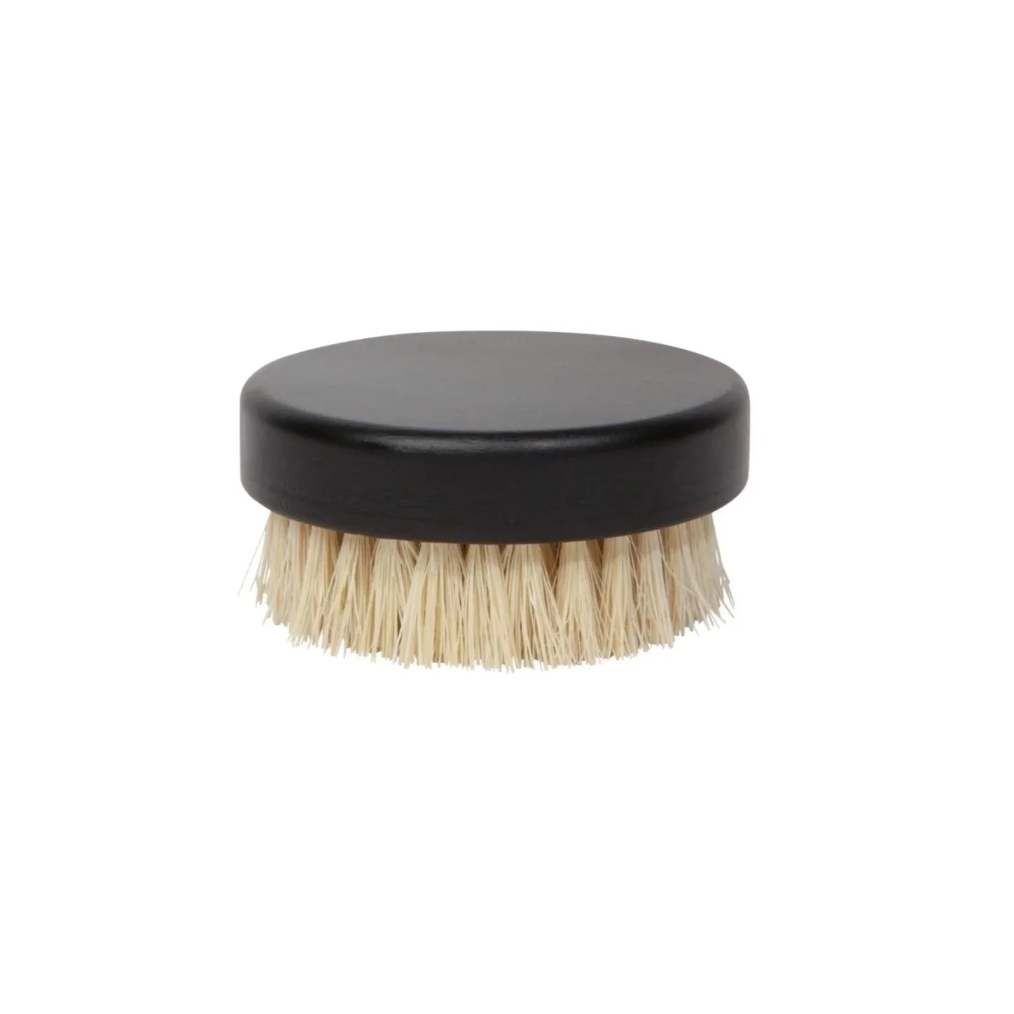 dish+brush.jpg