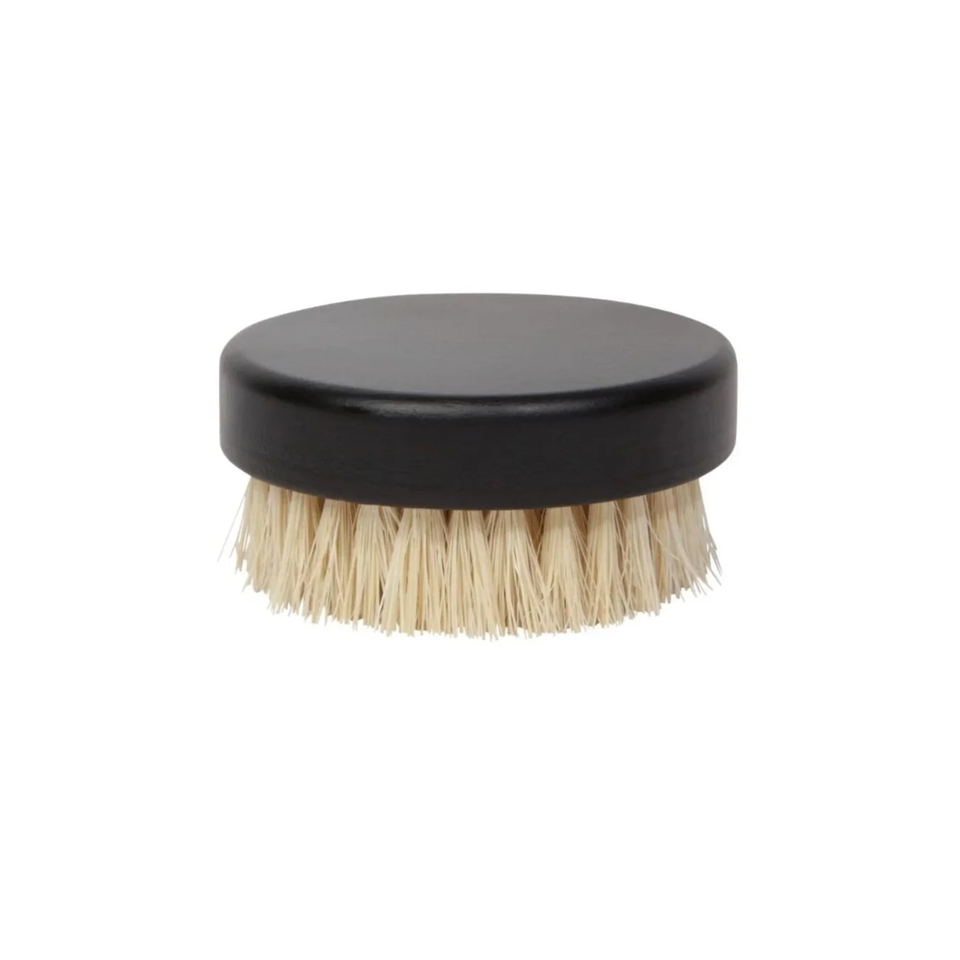 dish+brush.jpg