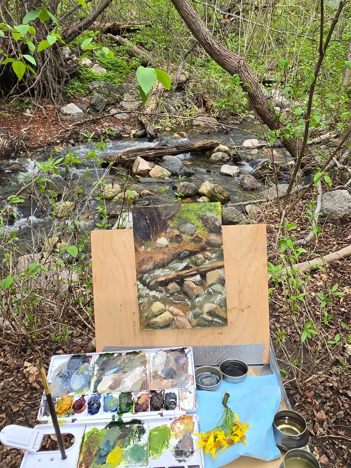 Yesterday was a beautiful day to get outside and do a color study. I had some good instruction and even better company 🙂 

5x7 inch, oil on board
Elephant Rock trail Bountiful, UT

#oilpainting #pleinairpaintings #utahartist #bountifulutah #naturelo