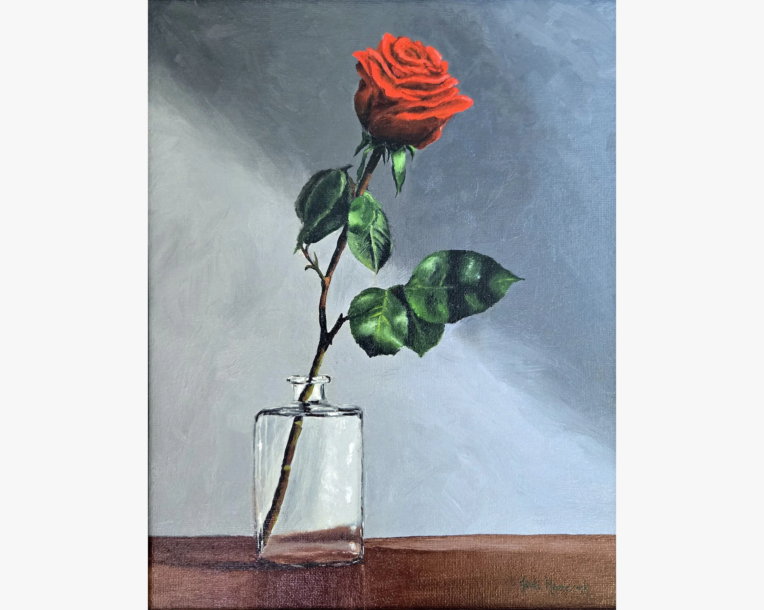 Solitary Red Rose (11x14)