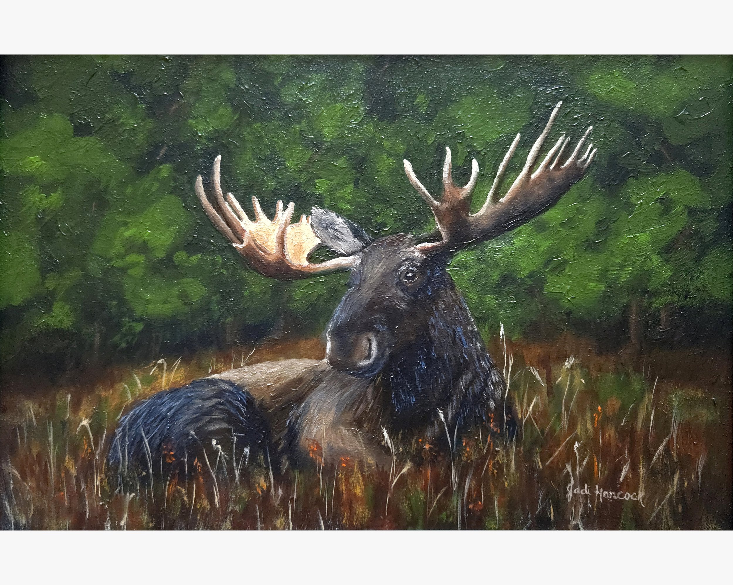 Moose (online).jpg