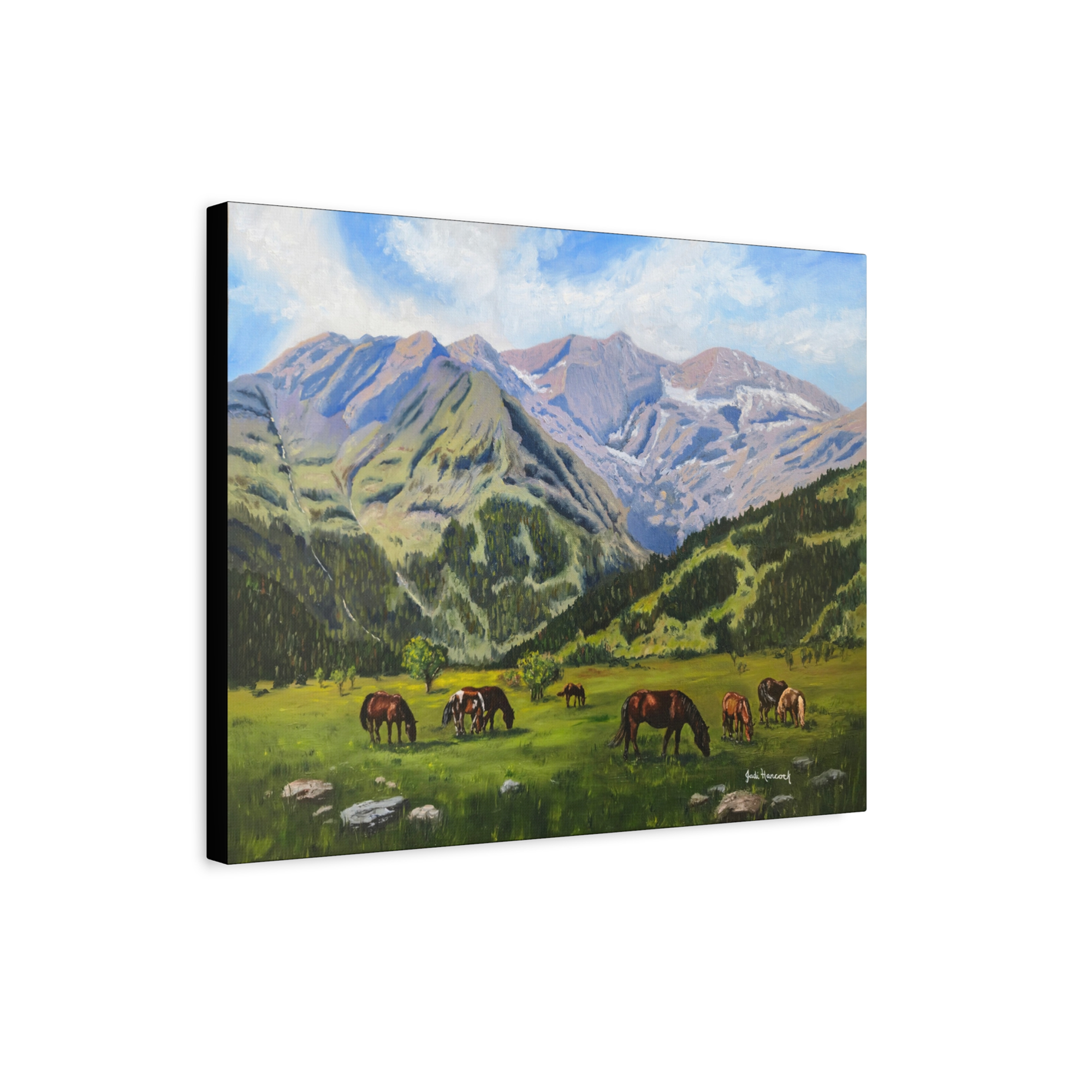"Beneath the High Country" Canvas Print