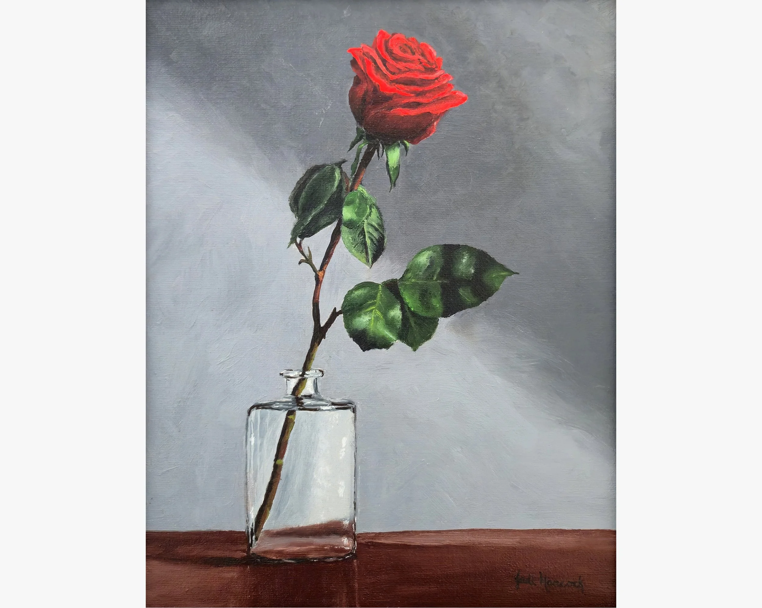 Solitary Red Rose (11x14)