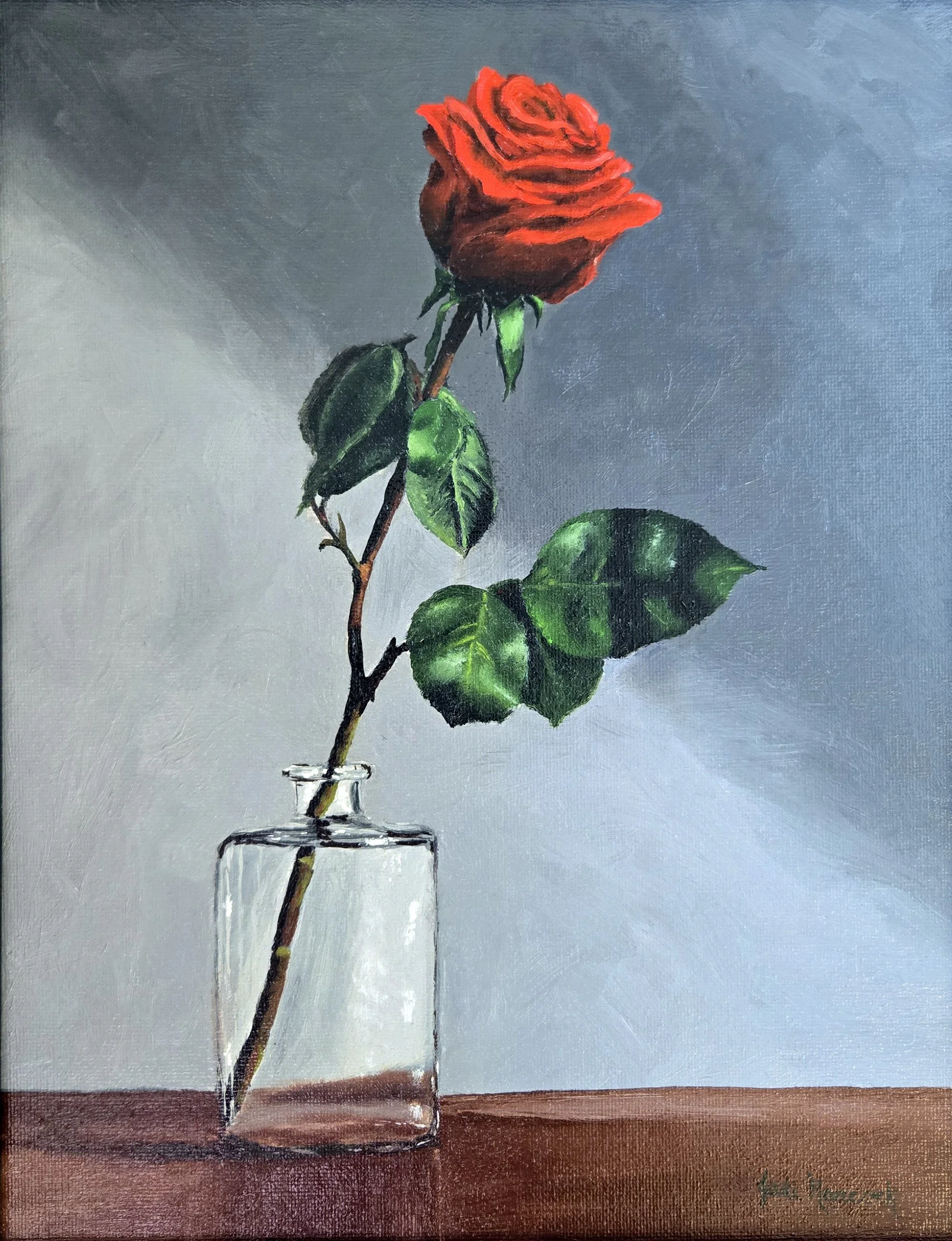 Solitary Red Rose (11x14)