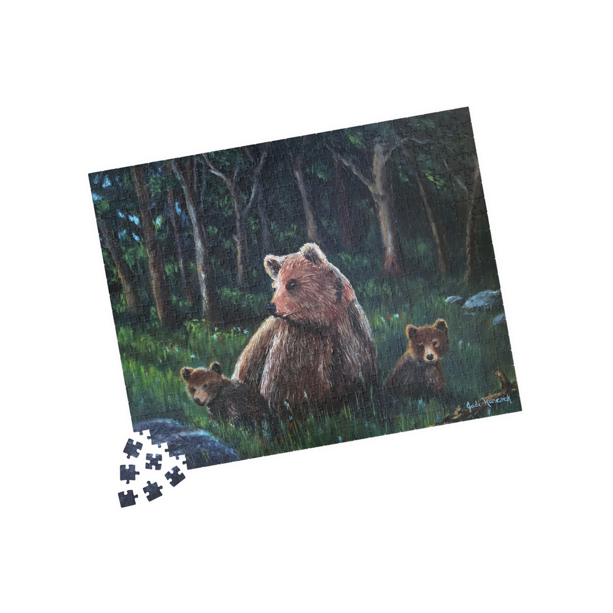 520 pieces.png