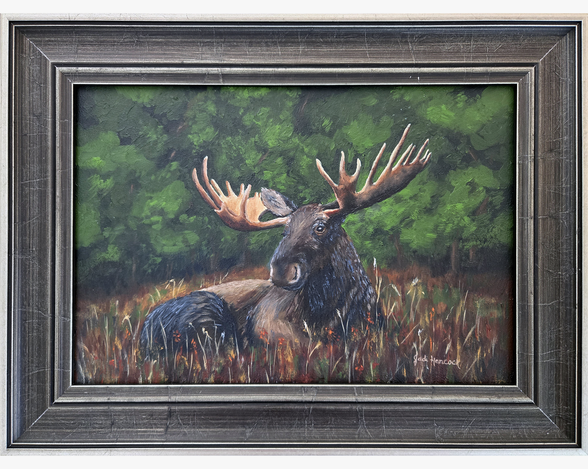 moose framed squarespace.png