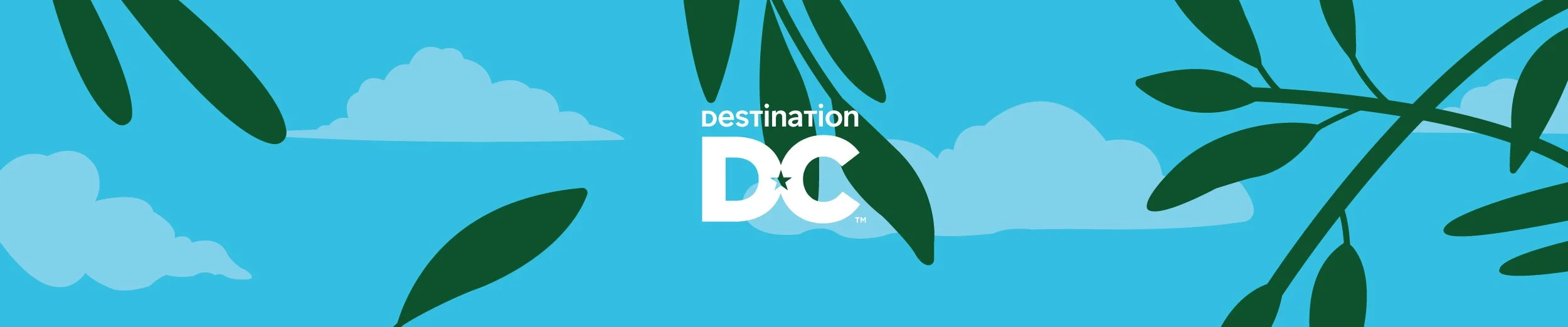 Destination DC event poster design detail showing a Destination DC logo over bright blue sky illustration with dark green bamboo leaves and soft clouds as a decorative cover graphic.