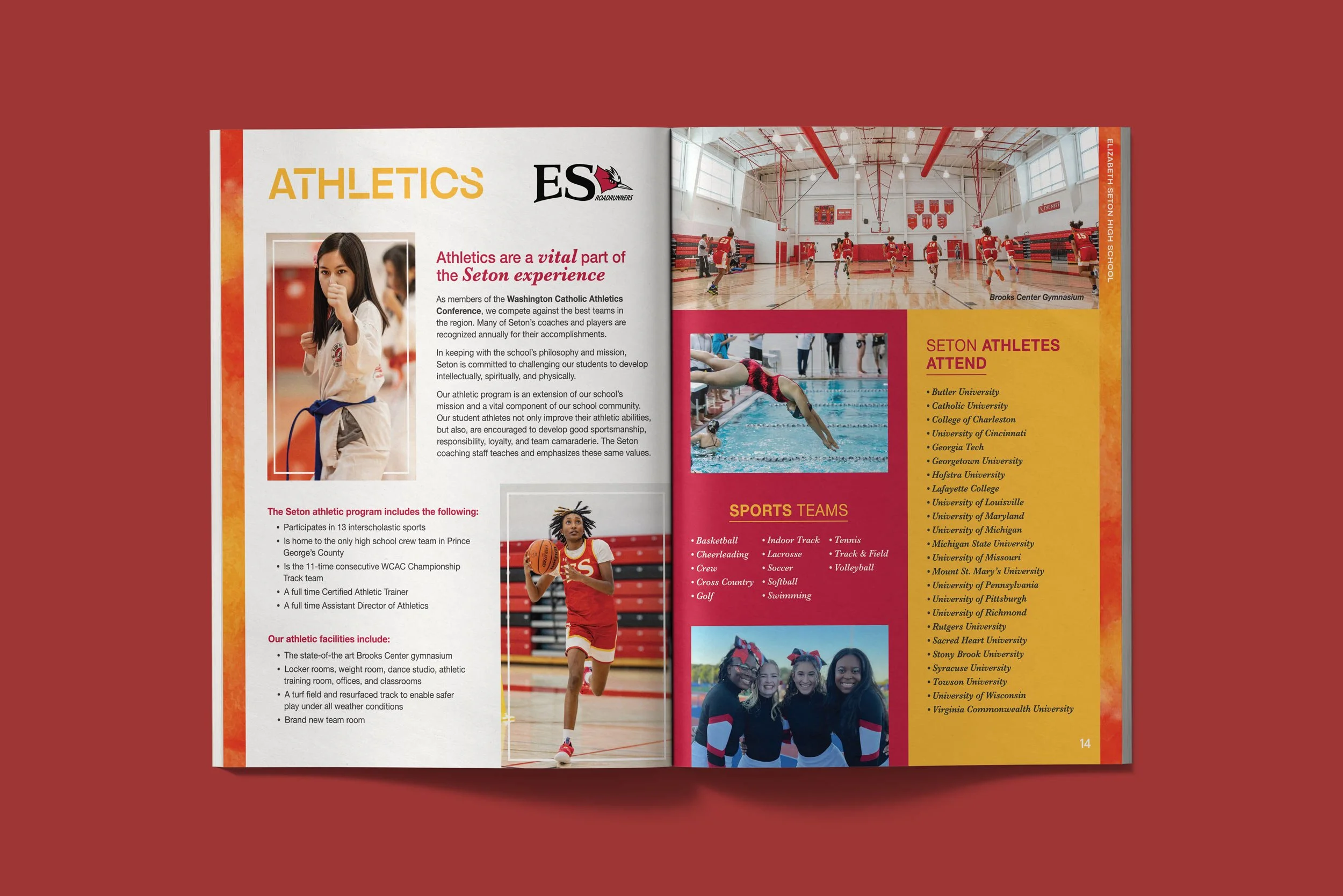 Yasmine Design Co. – Elizabeth Seton High School academic programs lookbook spread featuring athletics with editorial layout design, vibrant red and yellow color, watercolor textures, and bold, modern typography.
