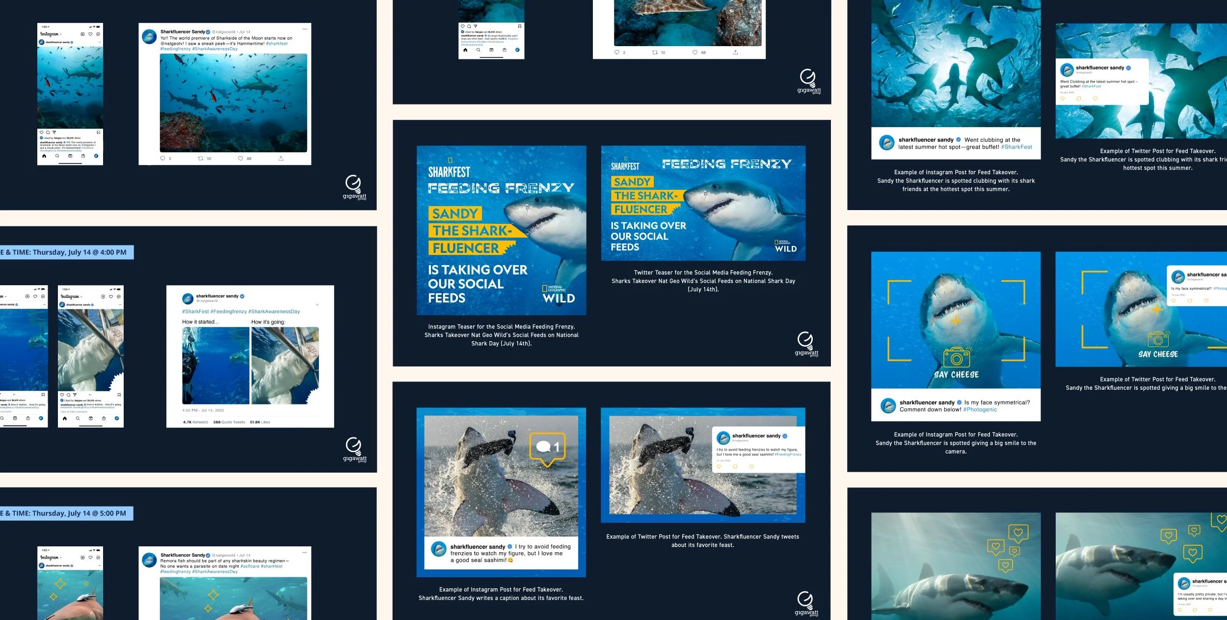 National Geographic Wild SharkFest Feeding Frenzy social media campaign style frames and content strategy mockup showing Instagram and Twitter post designs for Sandy the Sharkfluencer social feed takeover on National Shark Awareness Day, July 14.