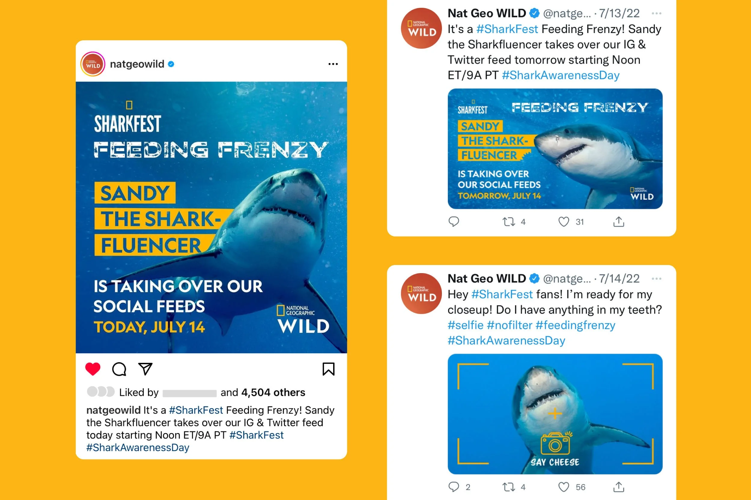 National Geographic Wild SharkFest Feeding Frenzy social media posts mockup showing the natgeowild Instagram post and Twitter tweets announcing Sandy the Sharkfluencer social feed takeover on July 14 for Shark Awareness Day.