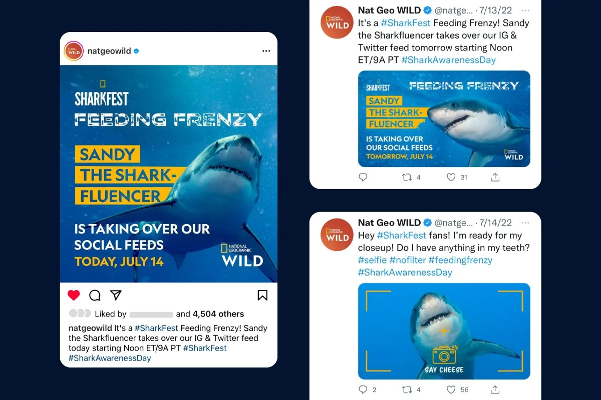 Yasmine Design Co. – National Geographic Wild SharkFest social media post mockups featuring Instagram and Twitter campaign designs for the Feeding Frenzy and Shark Awareness Day promotions.