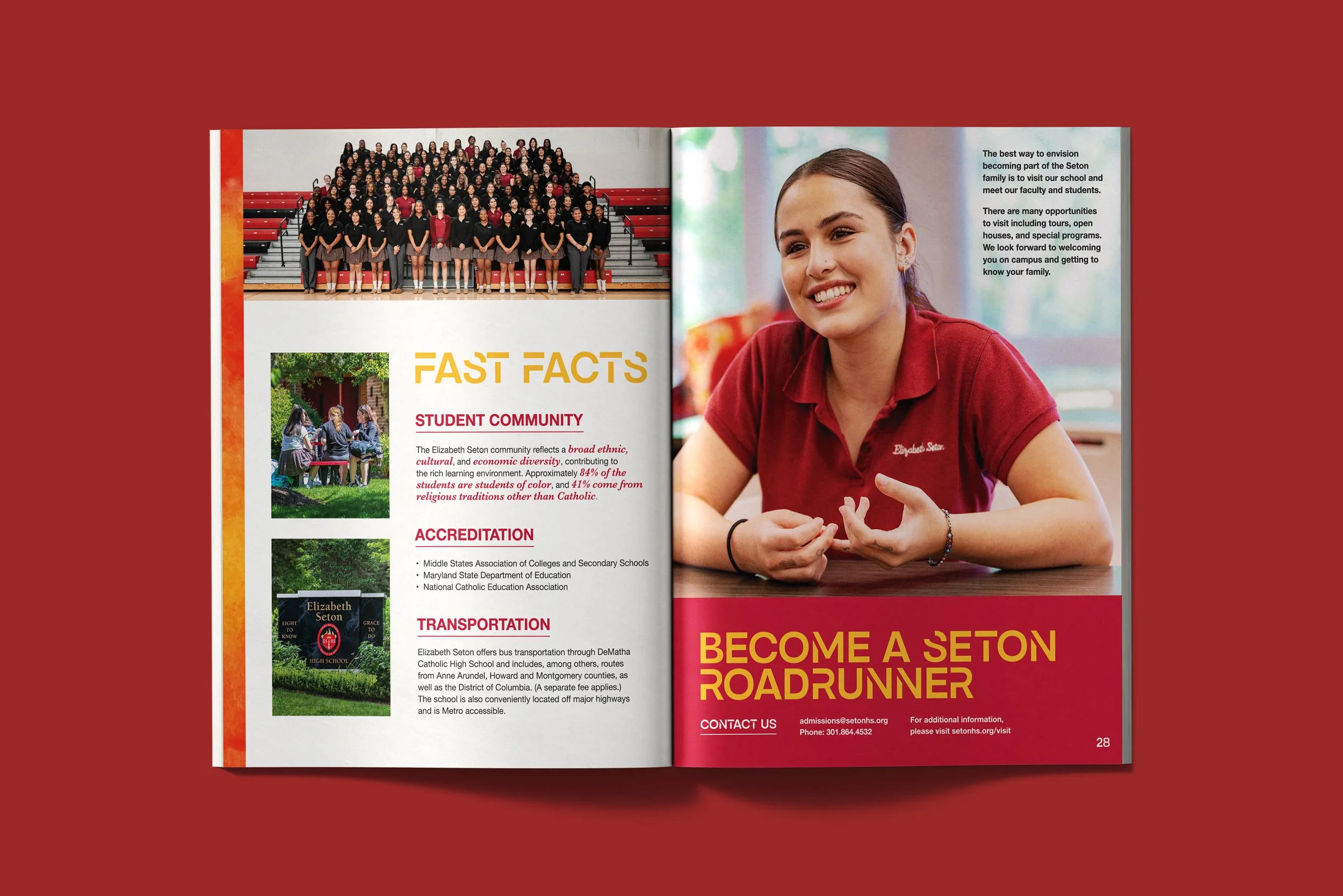 Yasmine Design Co. – Elizabeth Seton High School academic programs lookbook spread featuring fast facts and roadrunner with editorial layout design, vibrant red and yellow color, watercolor textures, and bold, modern typography.