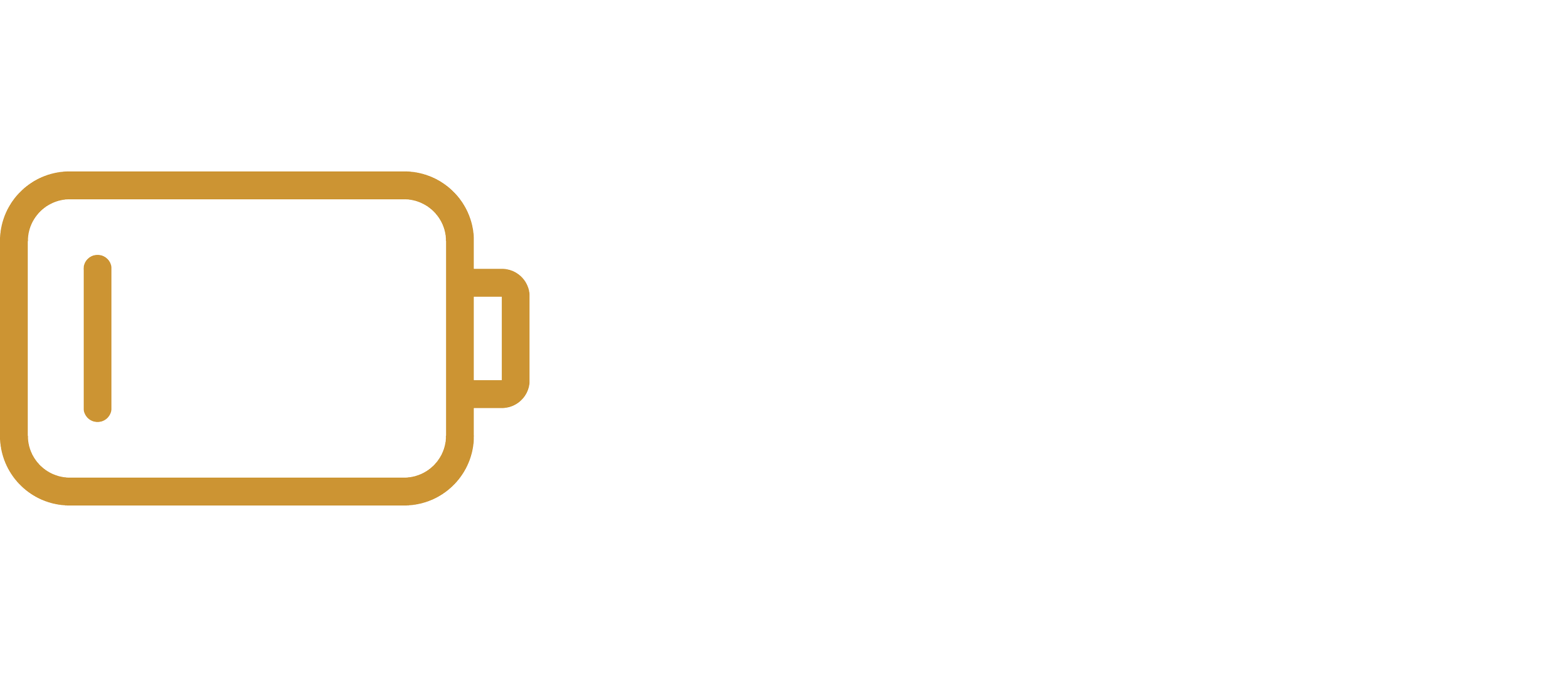 Stylized icon of a toaster in gold color next to text that reads "BRING THE TOAST" in black