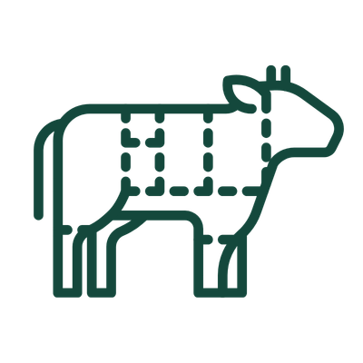 A diagram of a cow with marked sections, indicating specific parts or cuts of beef.