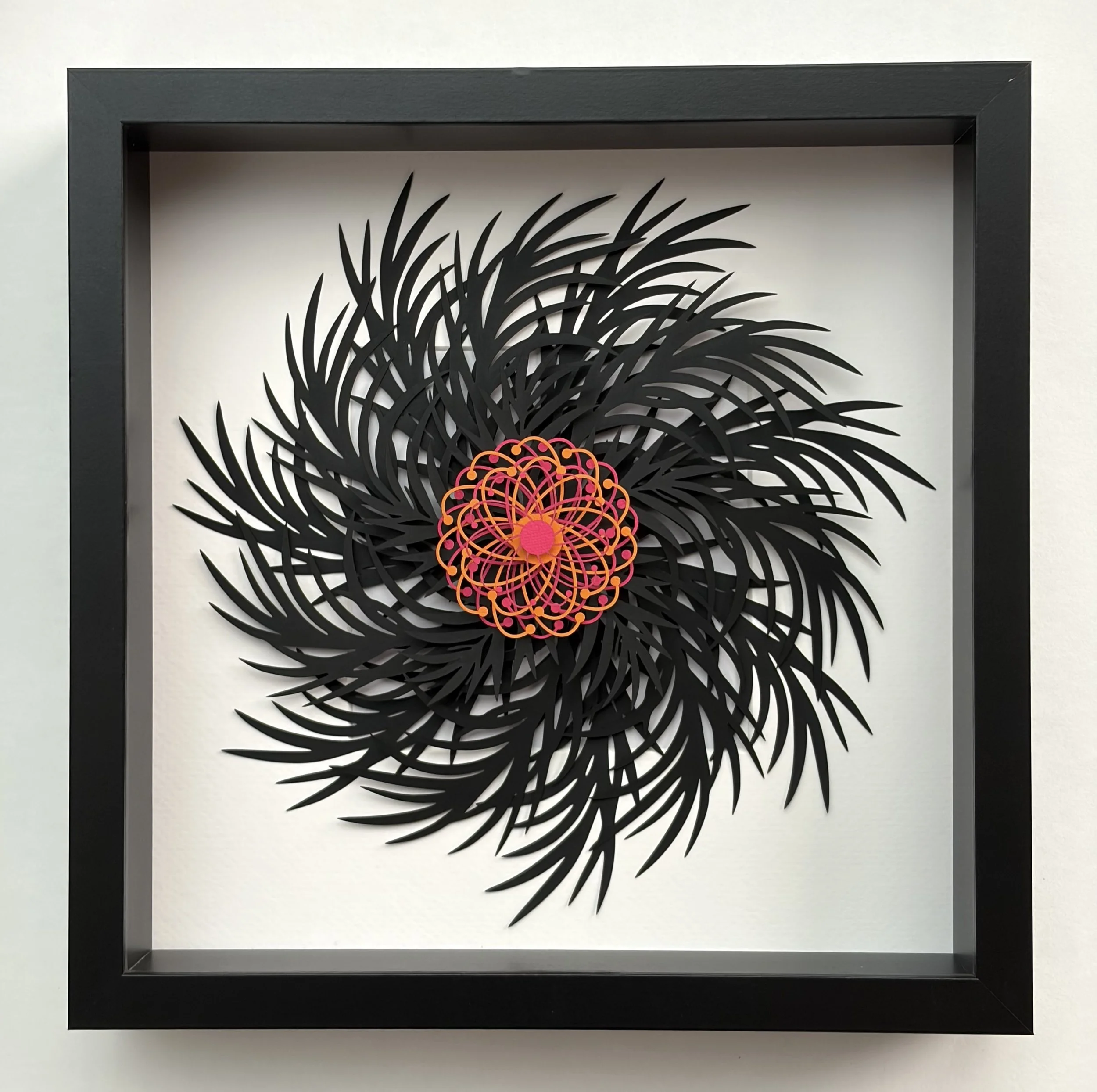 grevillea-orangepink.jpeg