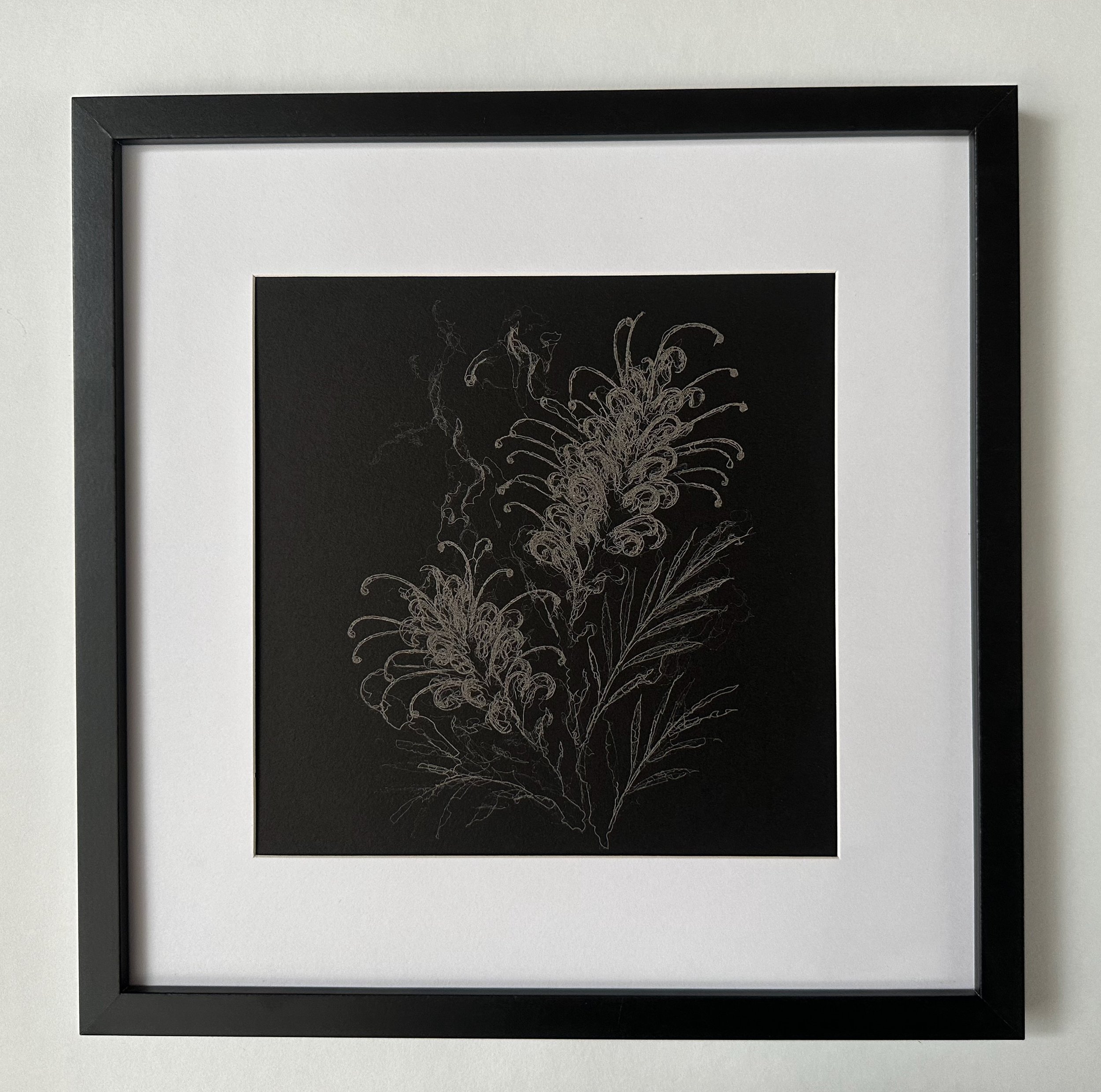 Framed laser drawing of Grevillea flowers