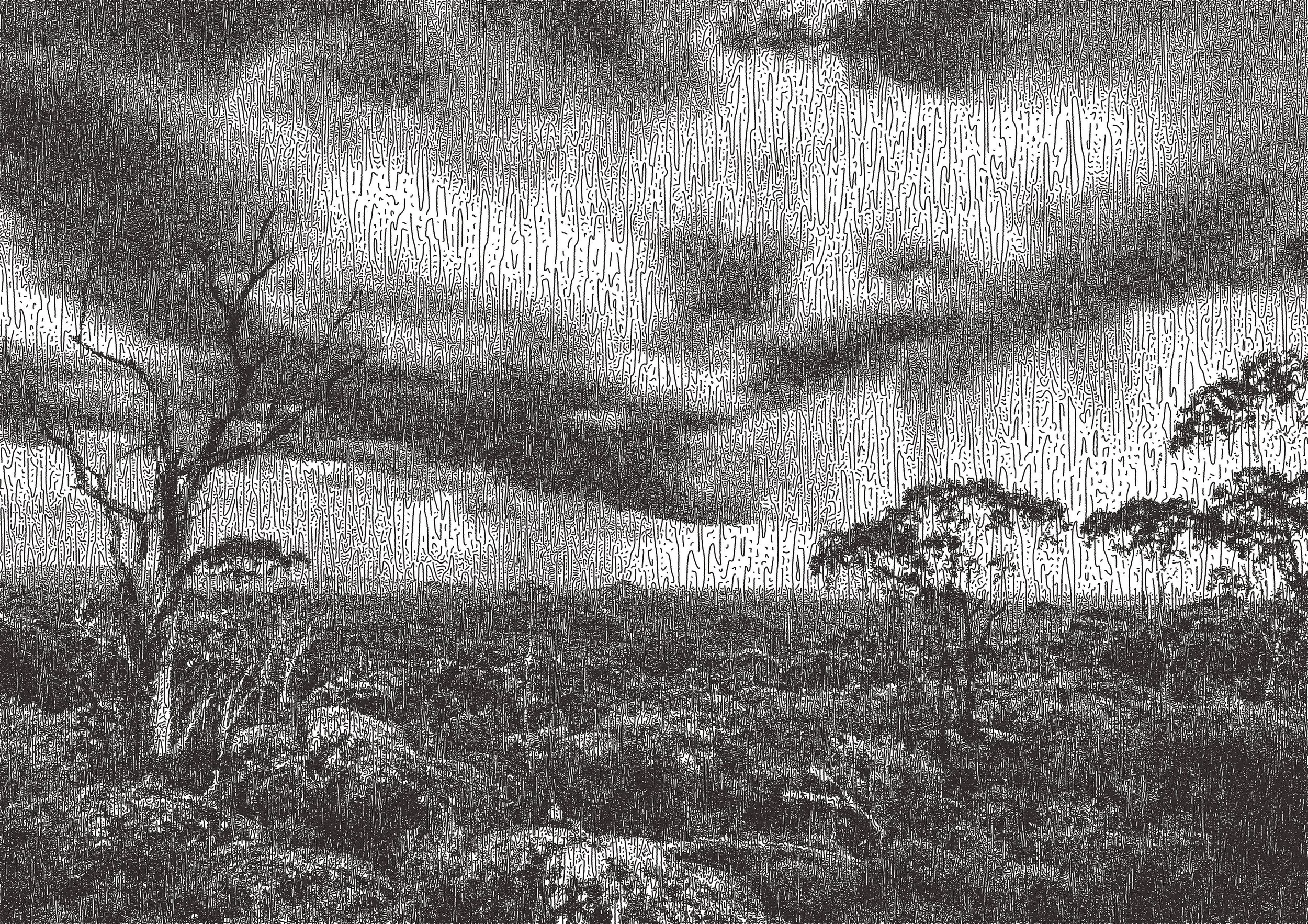 RainForestWeb.jpg
