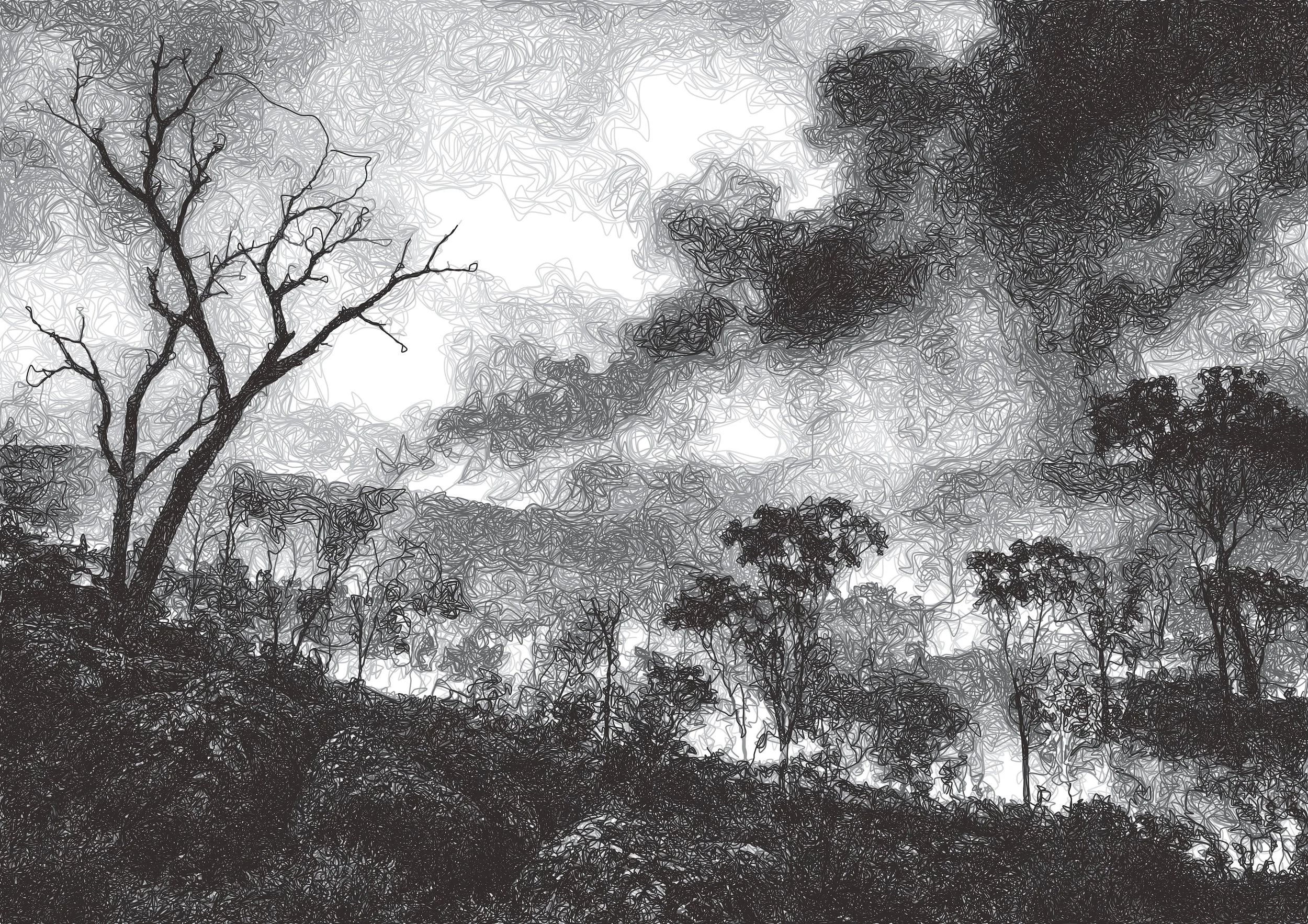 BushFireWeb.jpg